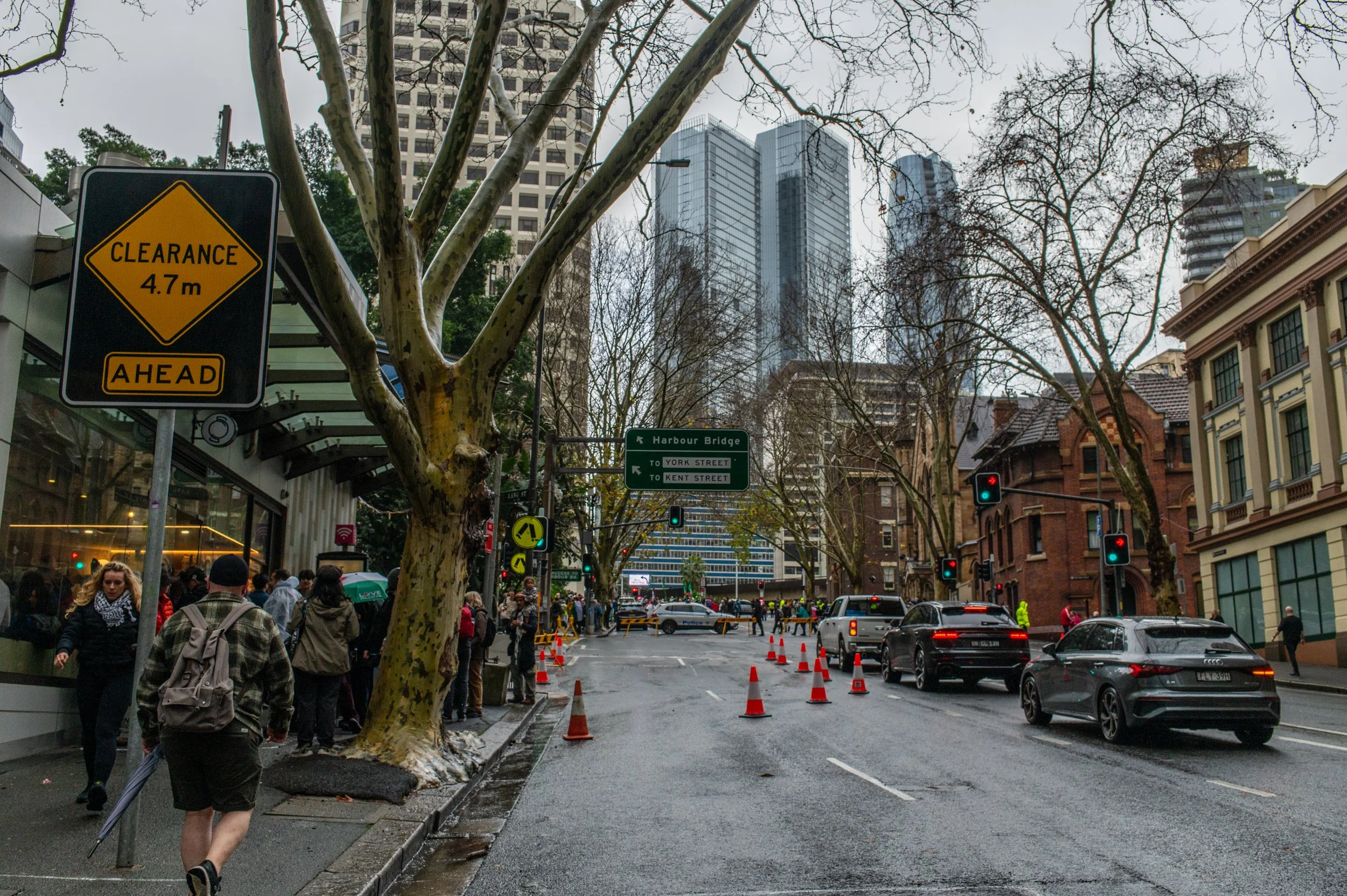 City street with tall buildings, leafless trees, vehicles, and a line of pedestrians waiting to cross. Cones and traffic lights are visible, along with street signs for Harbour Bridge, York Street, and Kent Street.