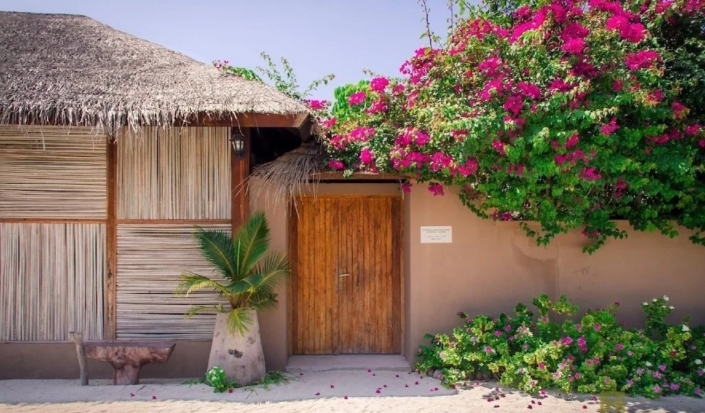 A tropical-style building with a thatched roof, wooden door, potted palm tree, and vibrant pink bougainvillea flowers.