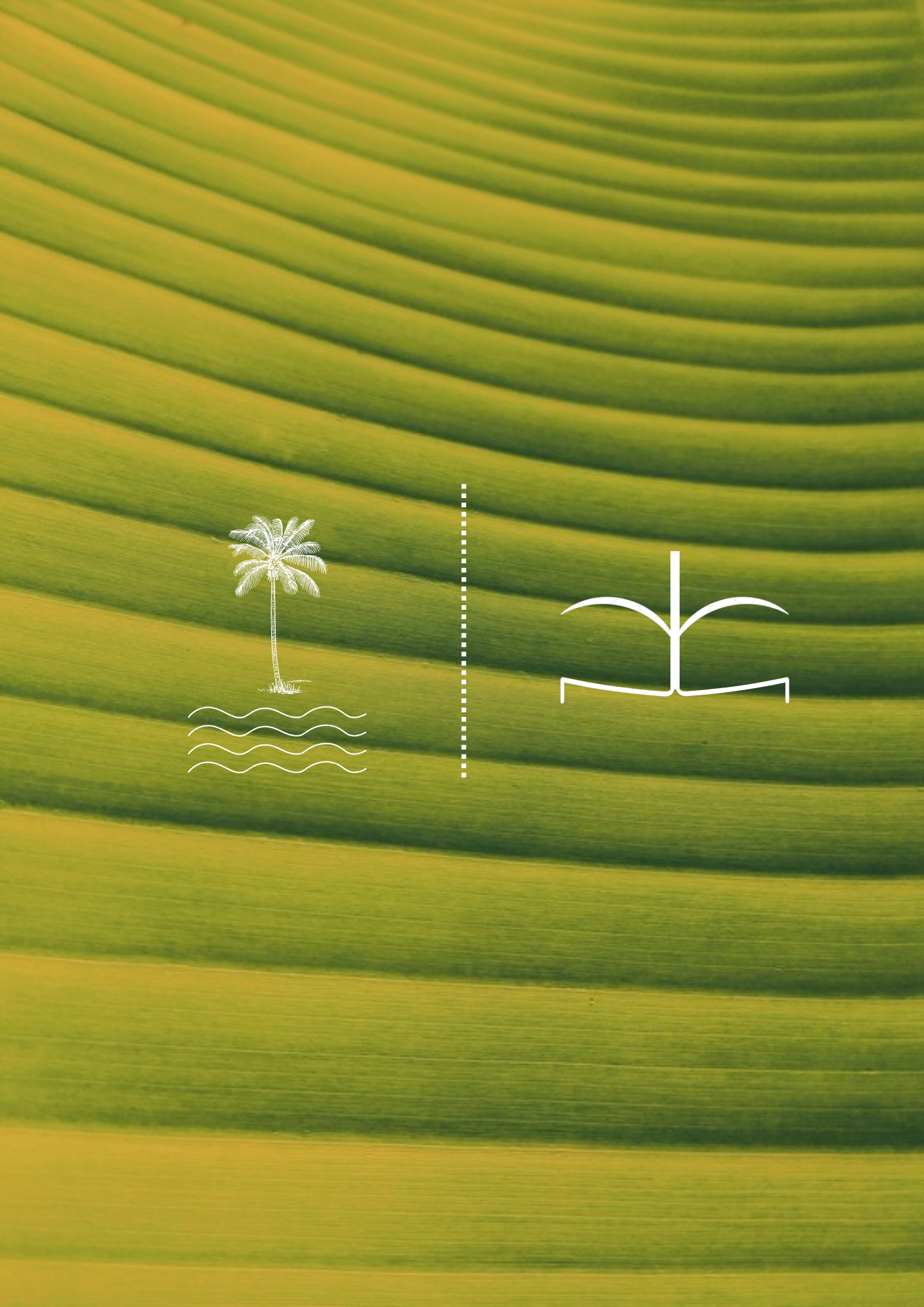 Close-up of green rice paddy fields with white line drawings of a palm tree with water waves on the left, and a stylized plant or seedling on the right, divided by a dotted line.