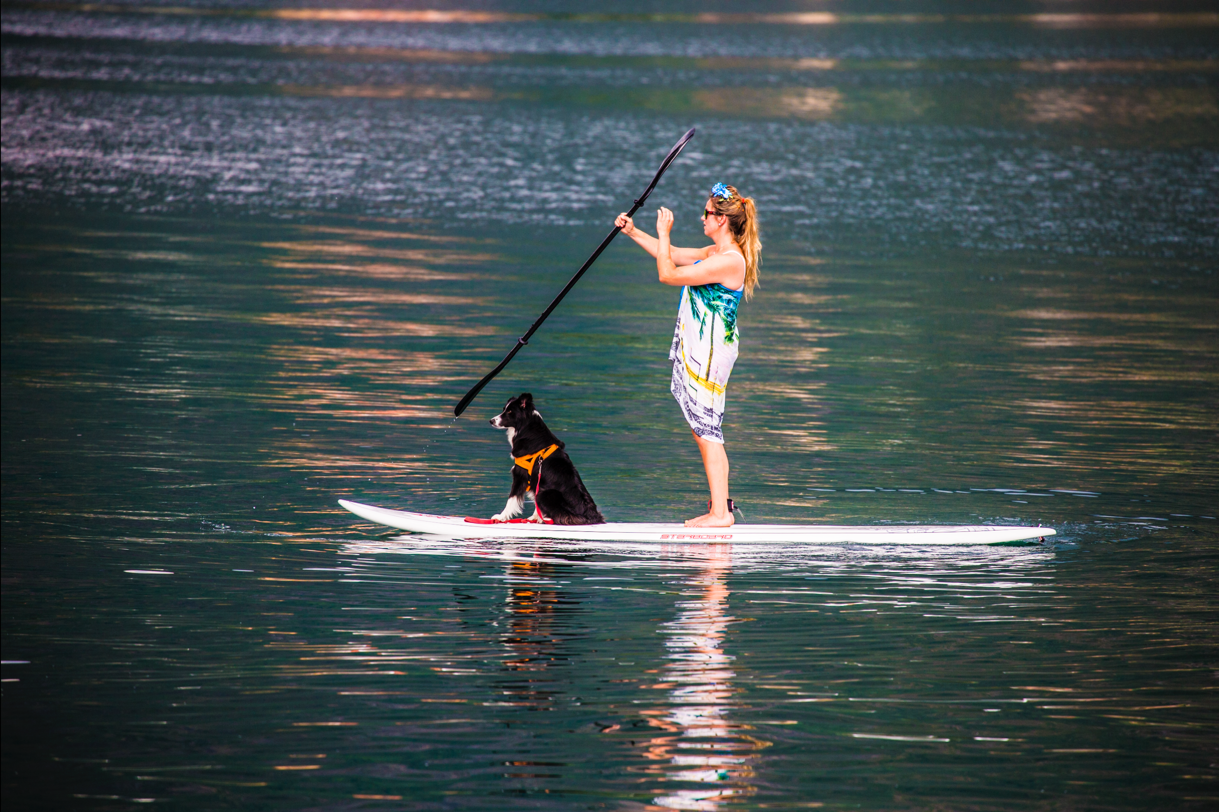  2016-08-08 kl. 15.38.31.png