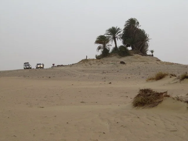 IMG_1542.JPG