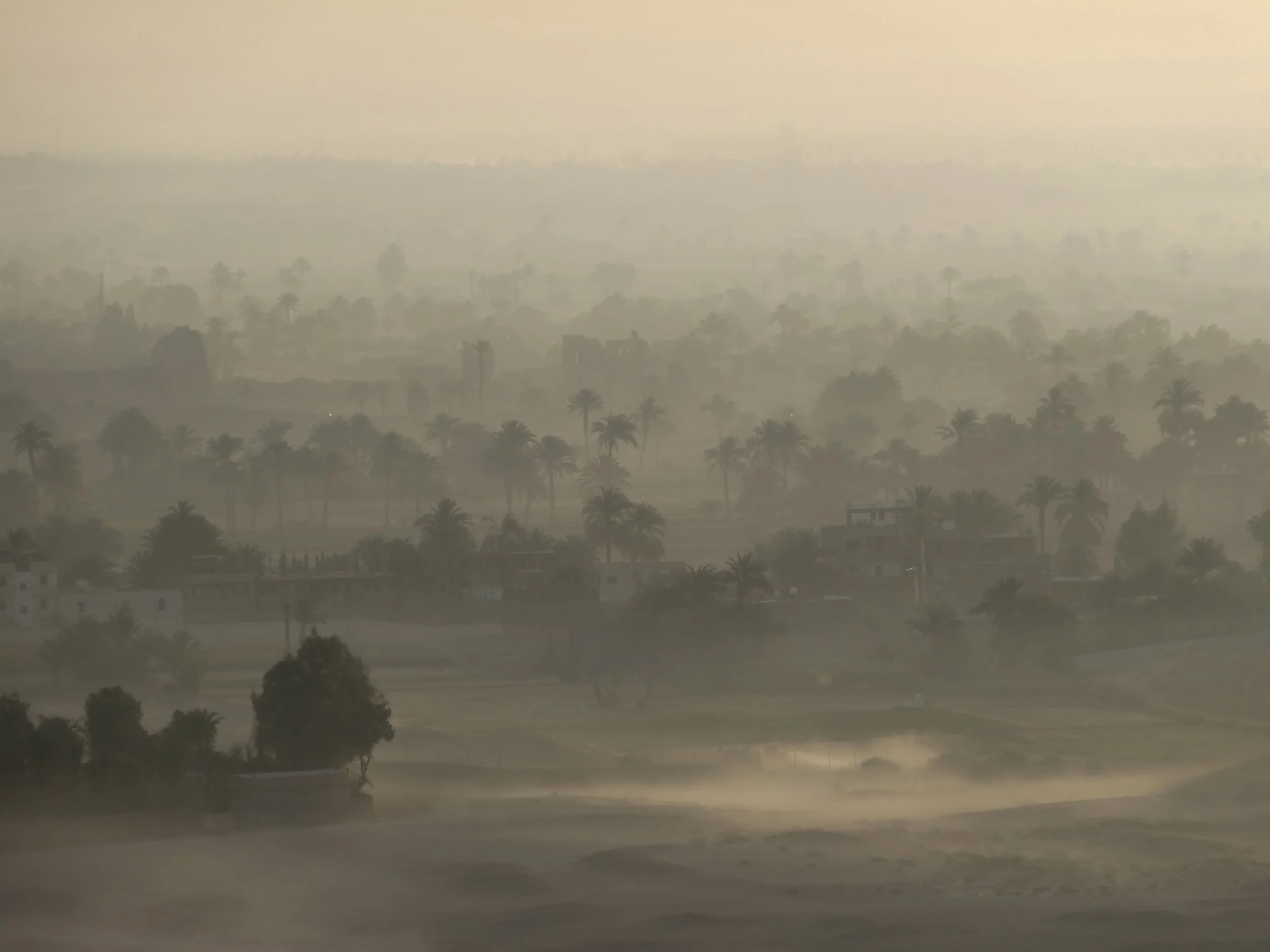 The palm fringed Nile at Luxor.jpg