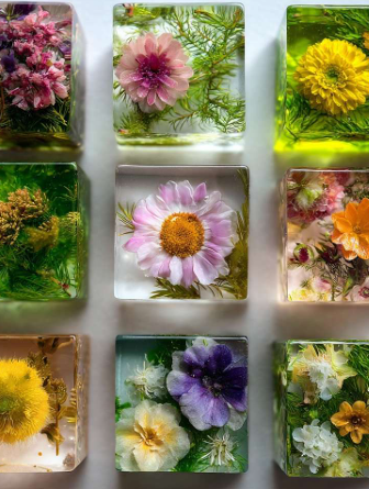 Morceaux de fleurs colorées et diverses encastrés dans des blocs de cristal ou de glace, exposés en rangée.
