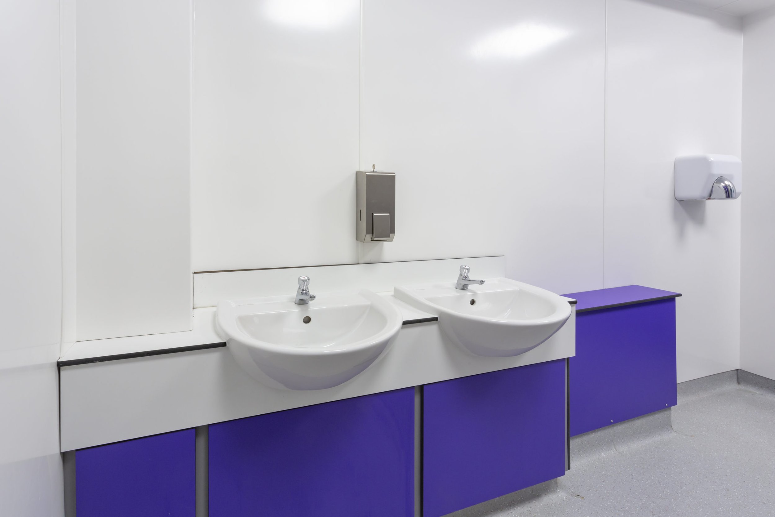 purple and white vanity unit with sinks at cliff park school.jpg
