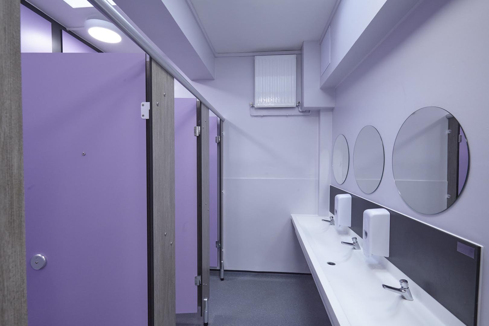 purple and grey woodgrain toilets and a hand wash trough at churchmead school.jpg