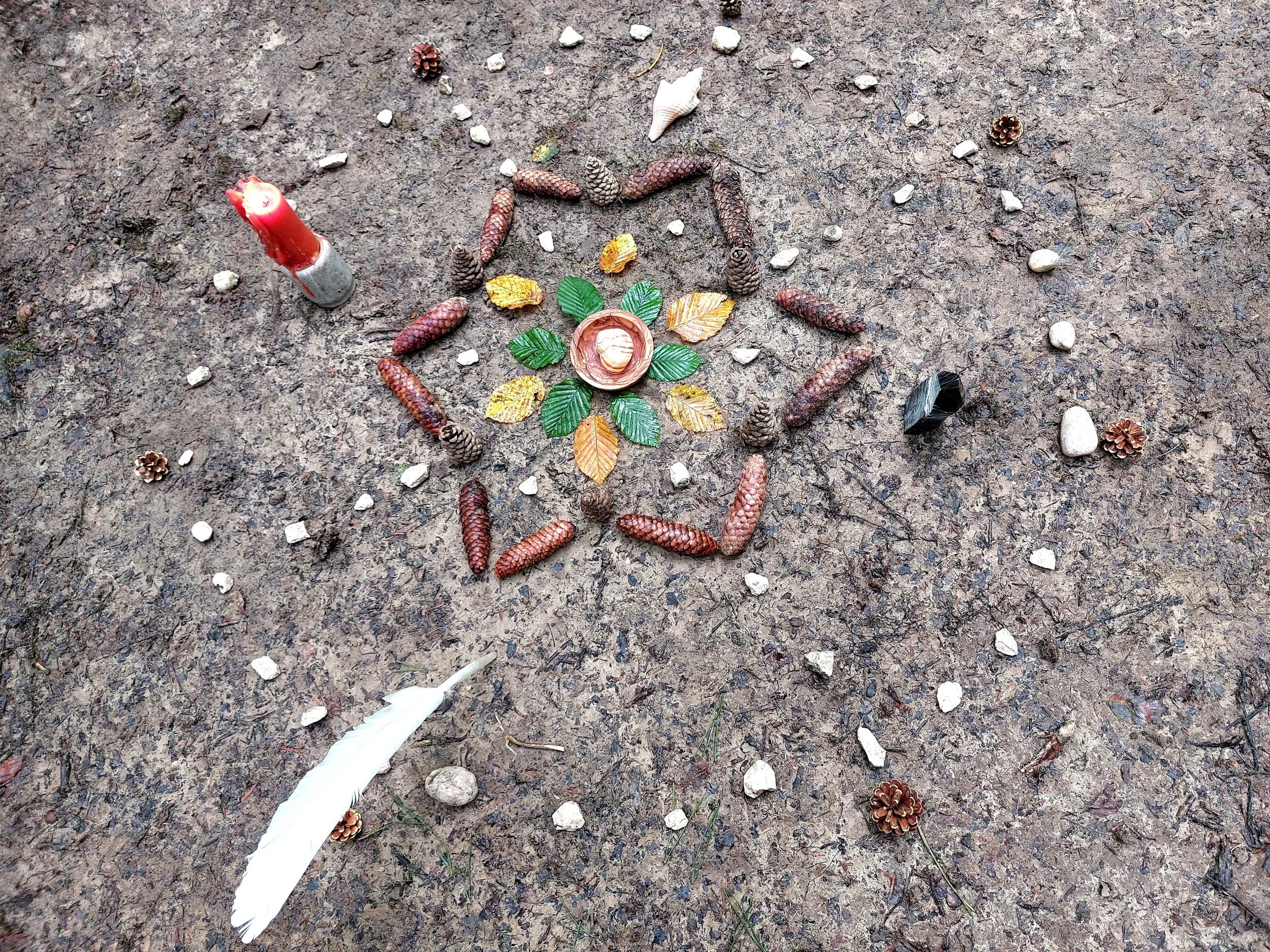 natürlich begleitet, naturcoaching