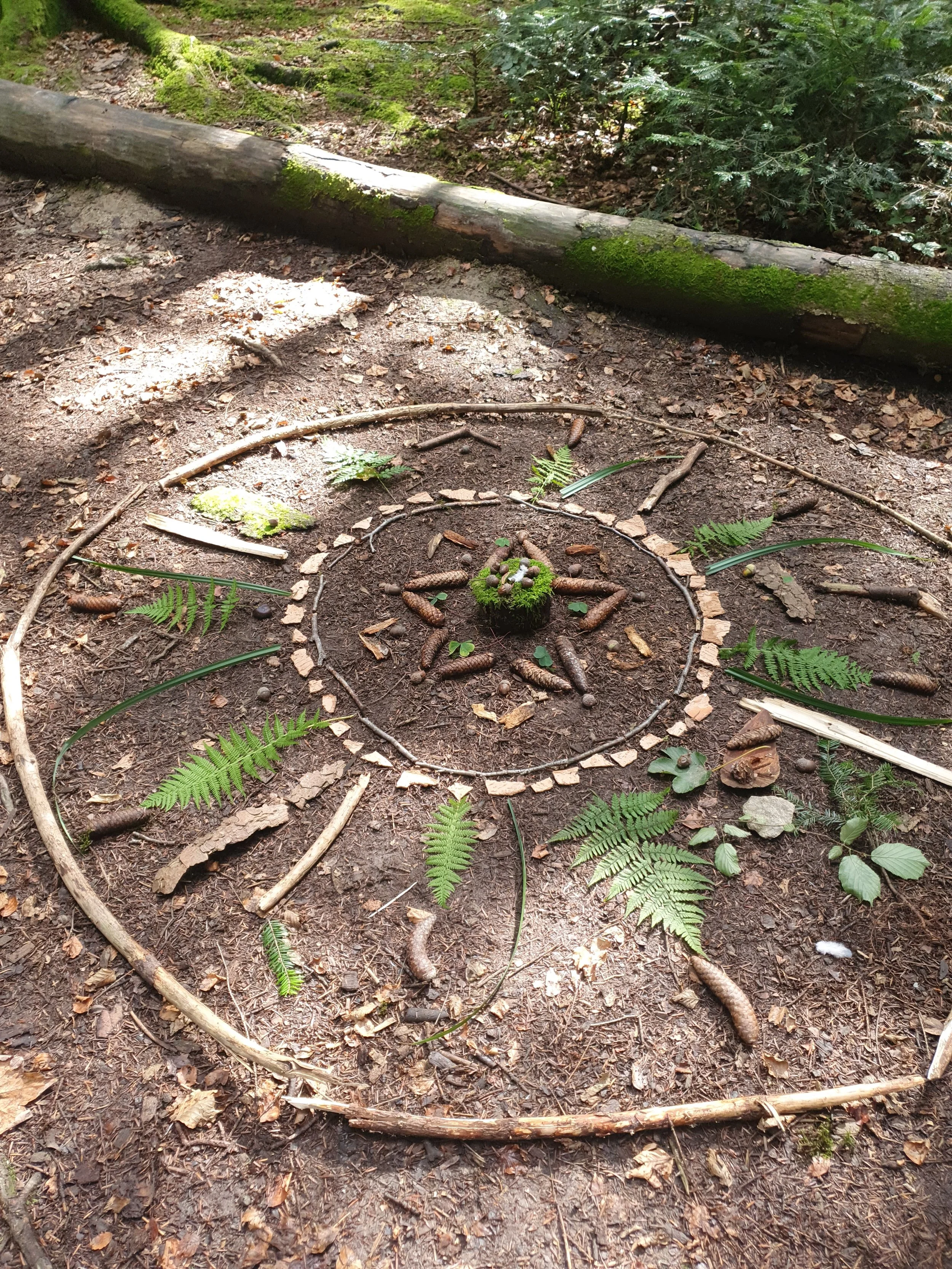 Ein Mandala im Wald