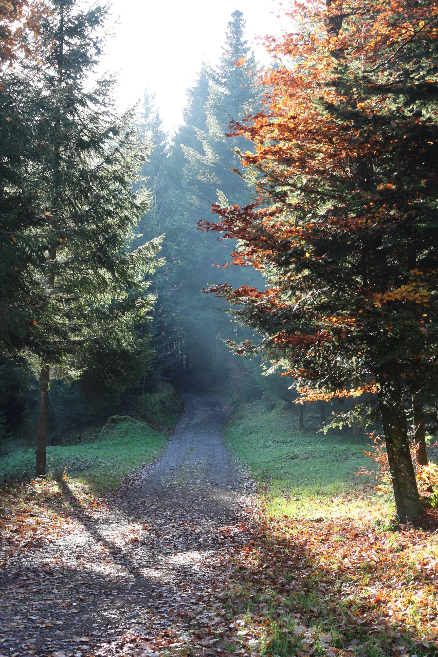 Geburtstagsfeier
