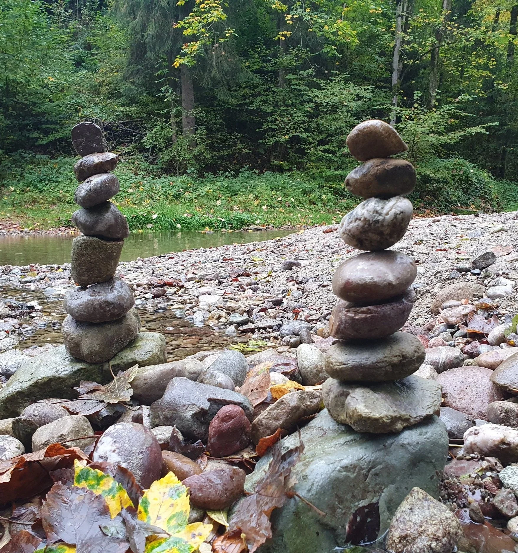 Naturpädagogik