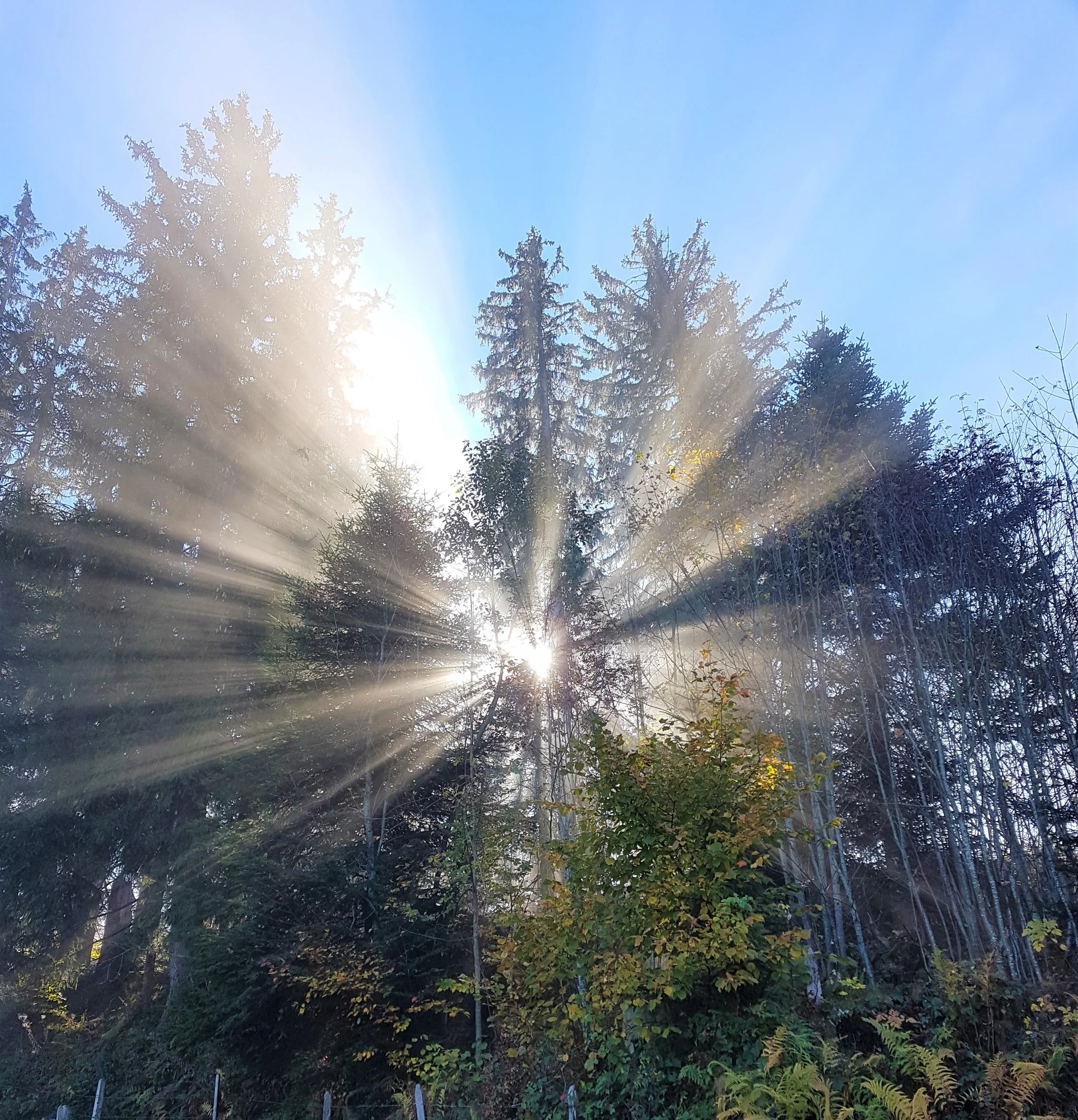 Zaubermomente in der Natur