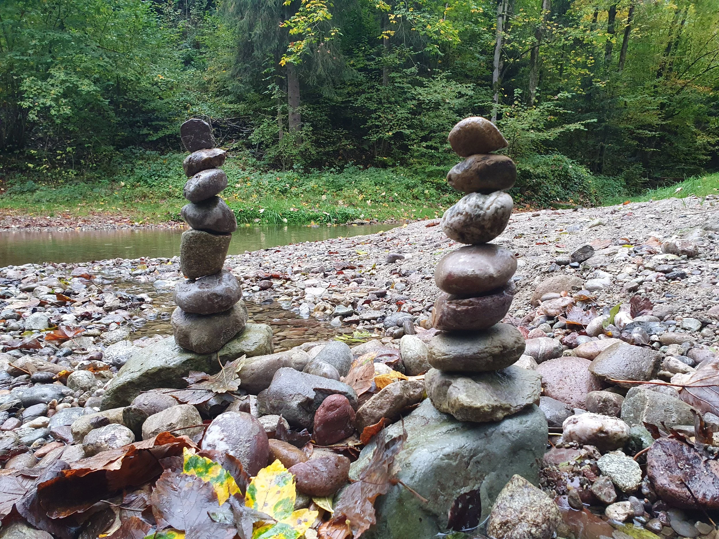 natürlich begleitet, naturcoaching