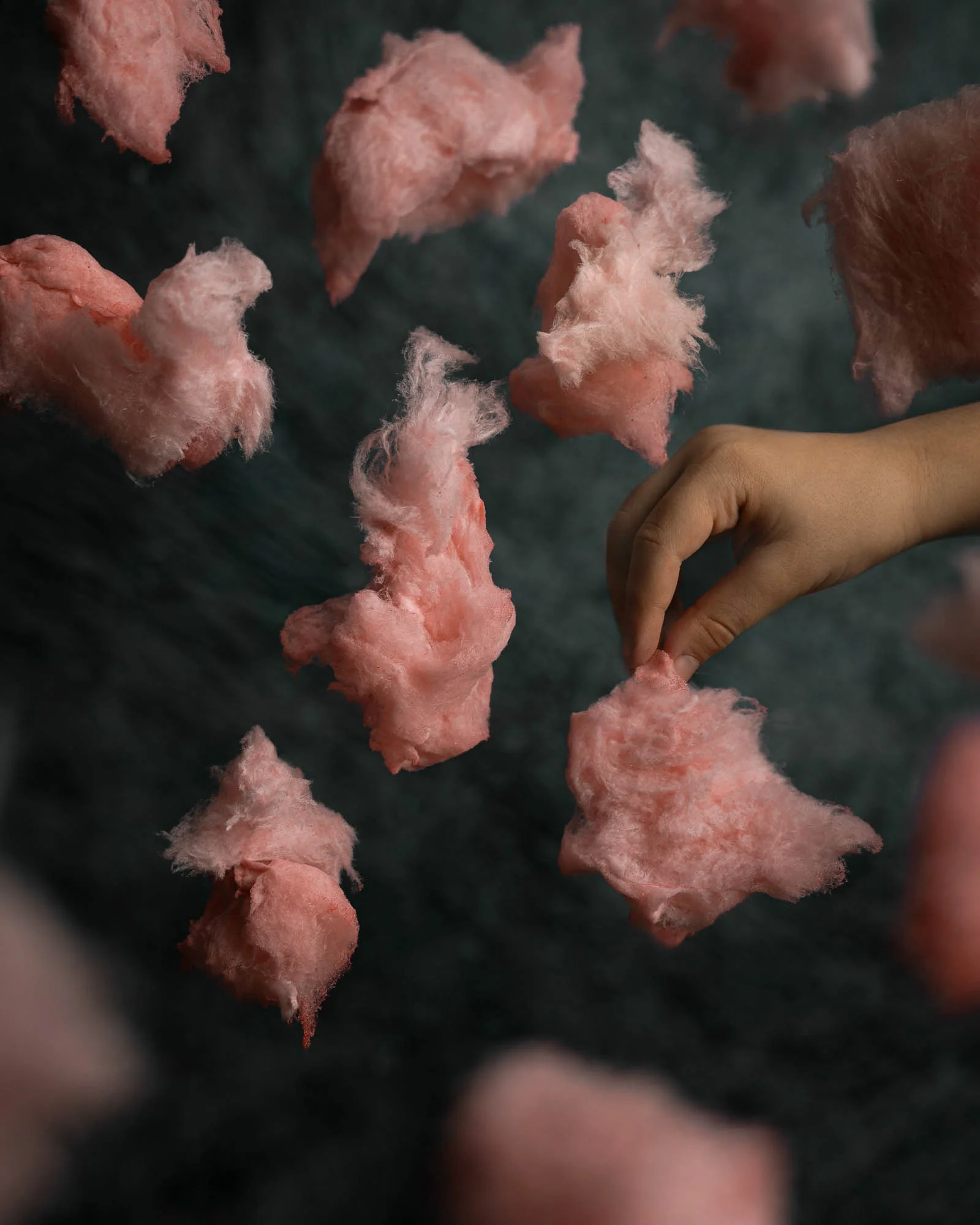 © Alejandra de la Torre, 2026