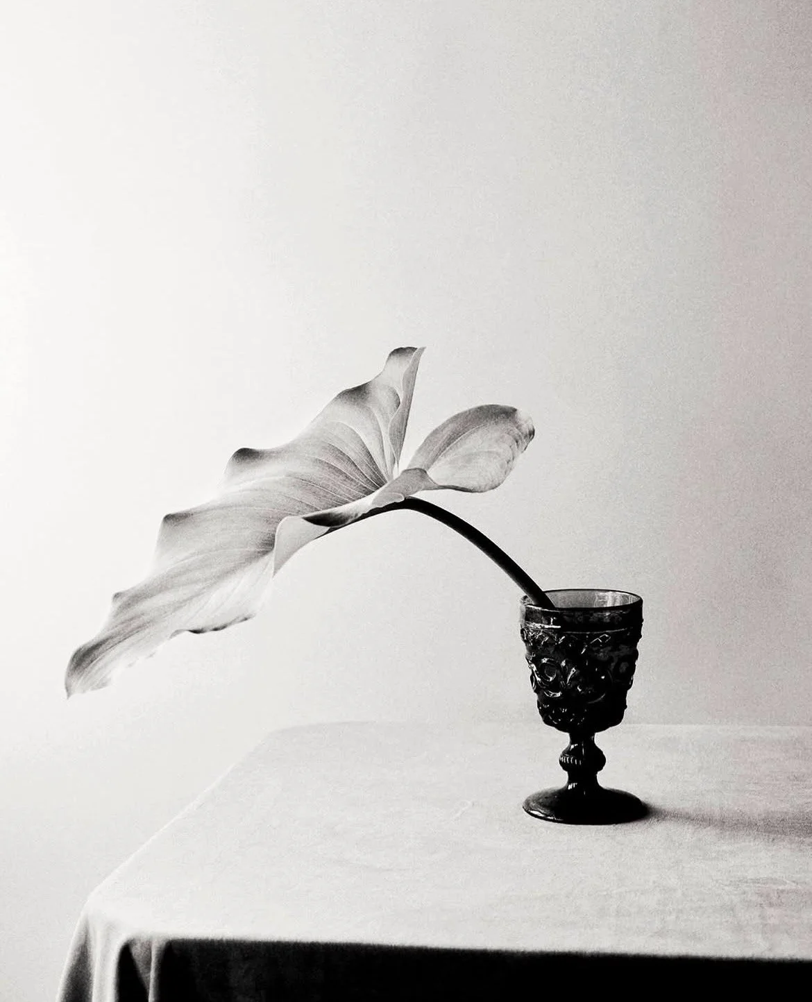 © BEATRIZ SÁNCHES, 2026