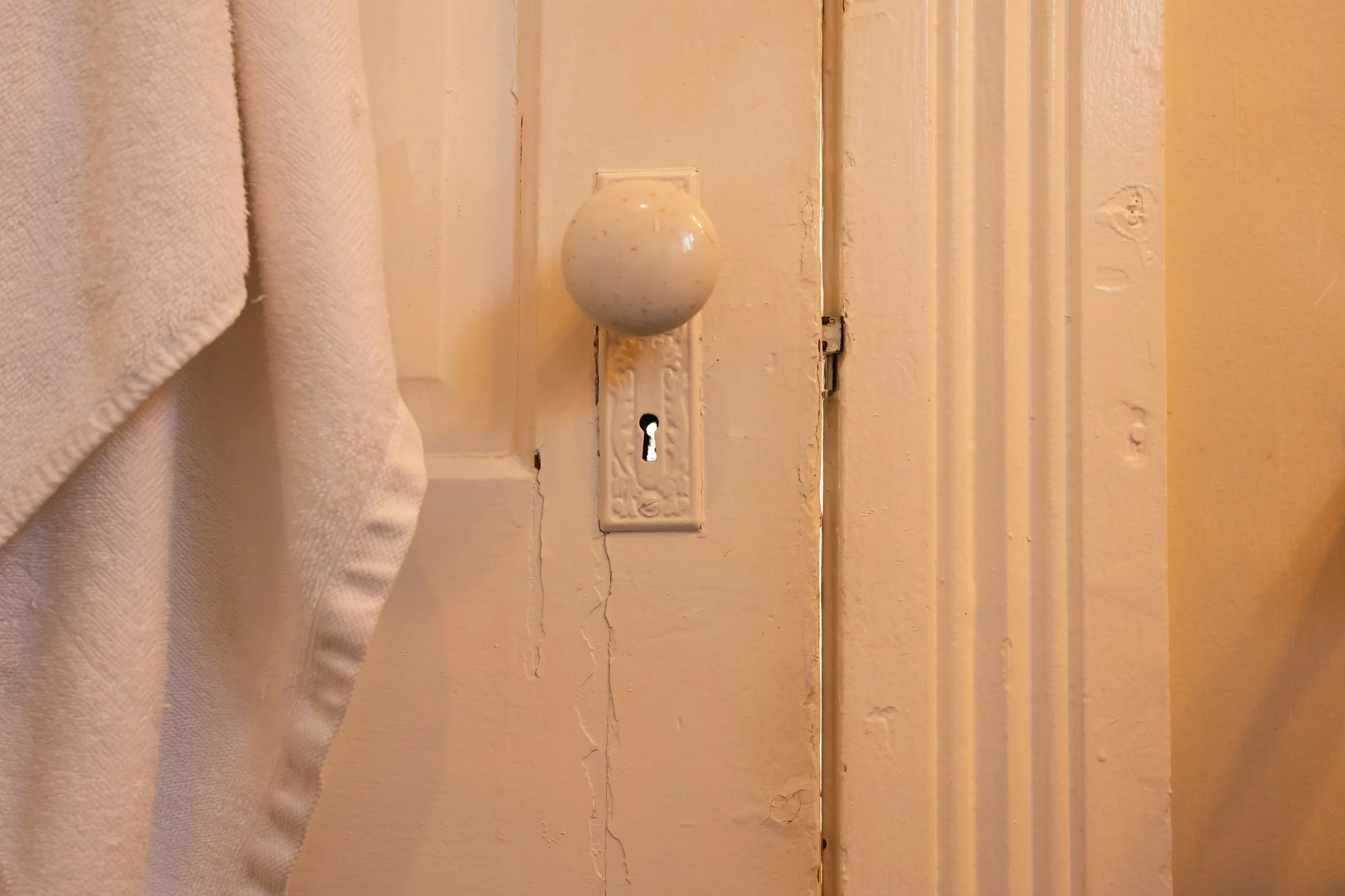 © María José Gómez, 2025