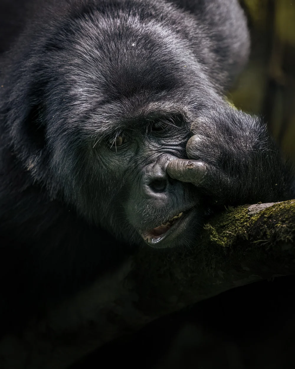 MAY 2025 ©alexandra surkova 