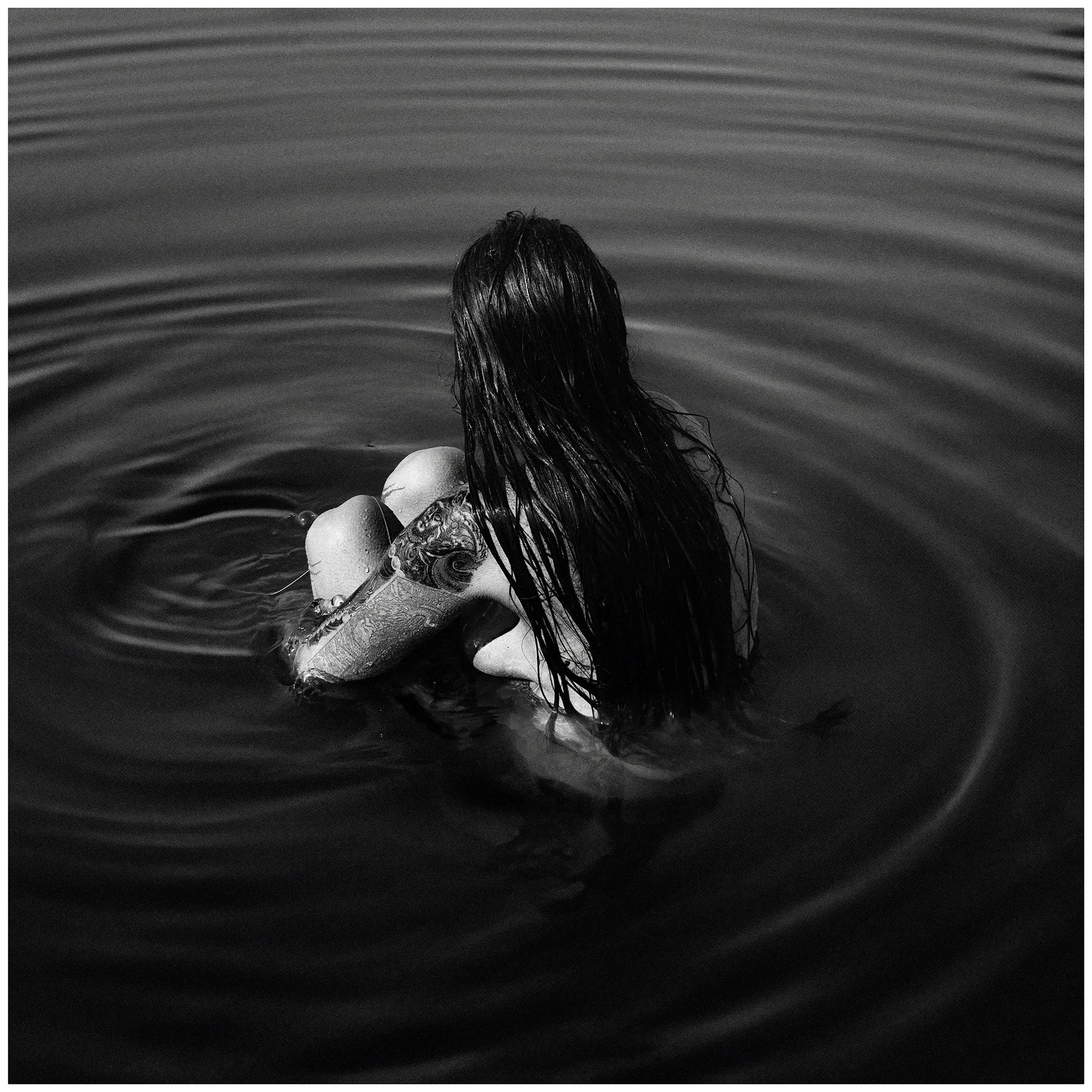 Lucia lamata ©