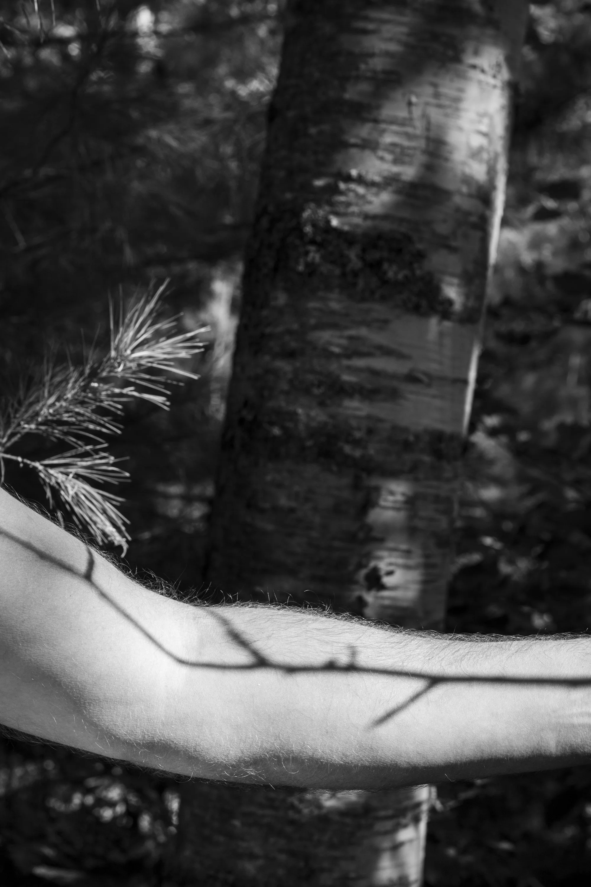 Tribute to Nature Series – Maine, 2024 ©alejandro cupi 