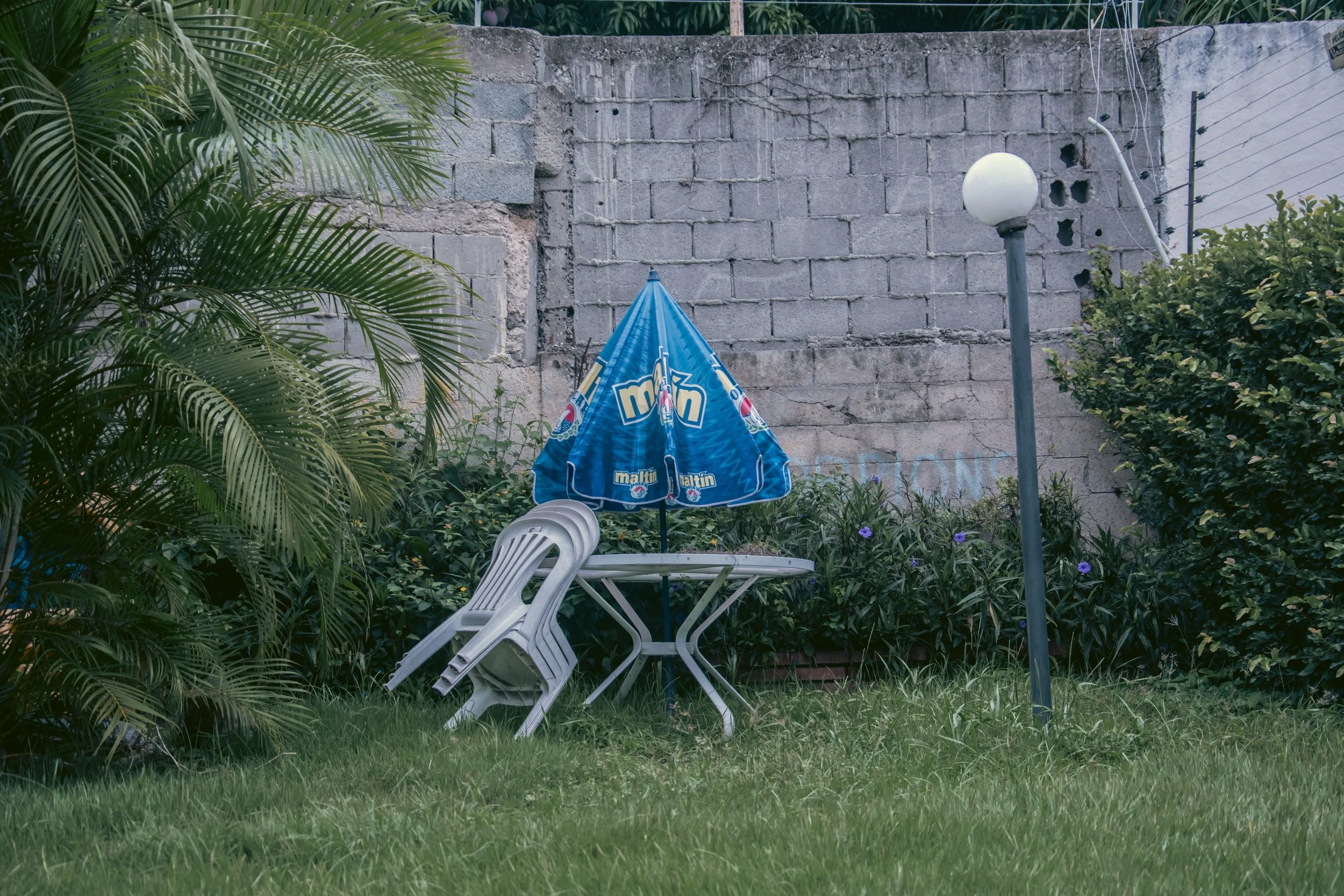 © Dacir conde, 2025