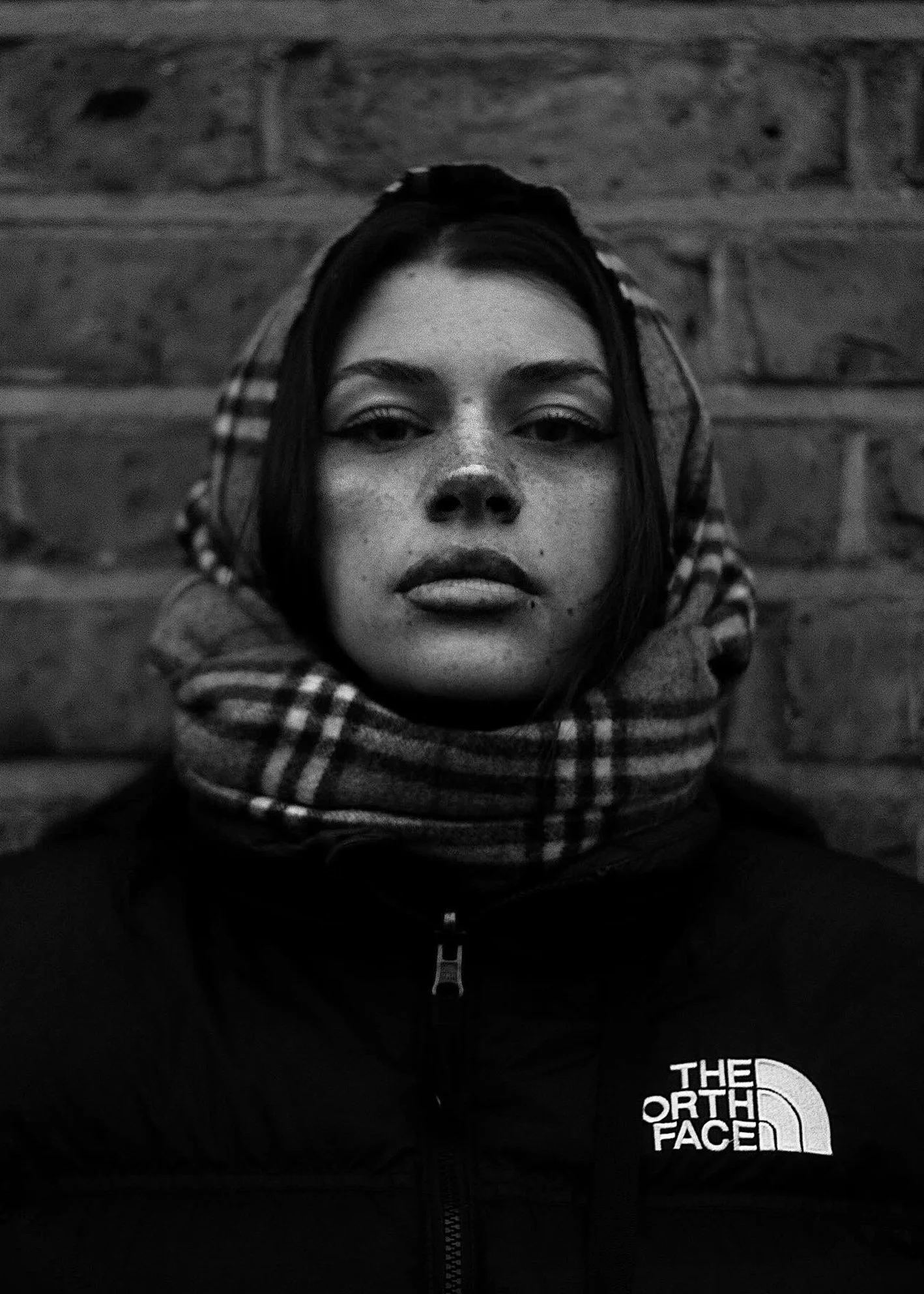Lucia lamata ©
