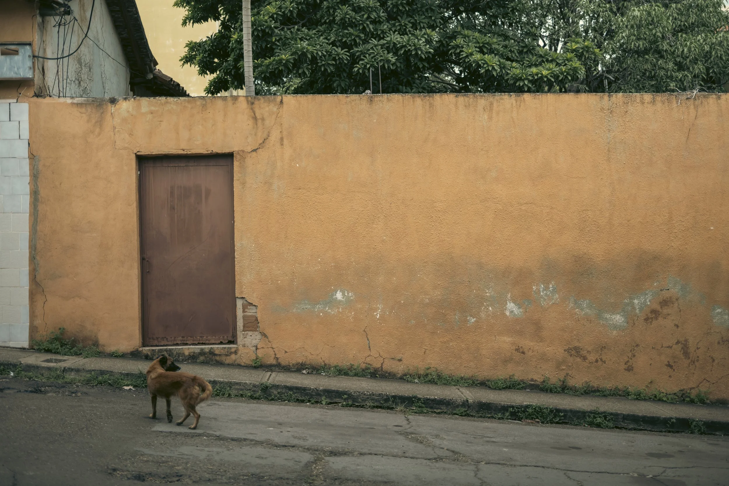 © eleazar camero, 2025