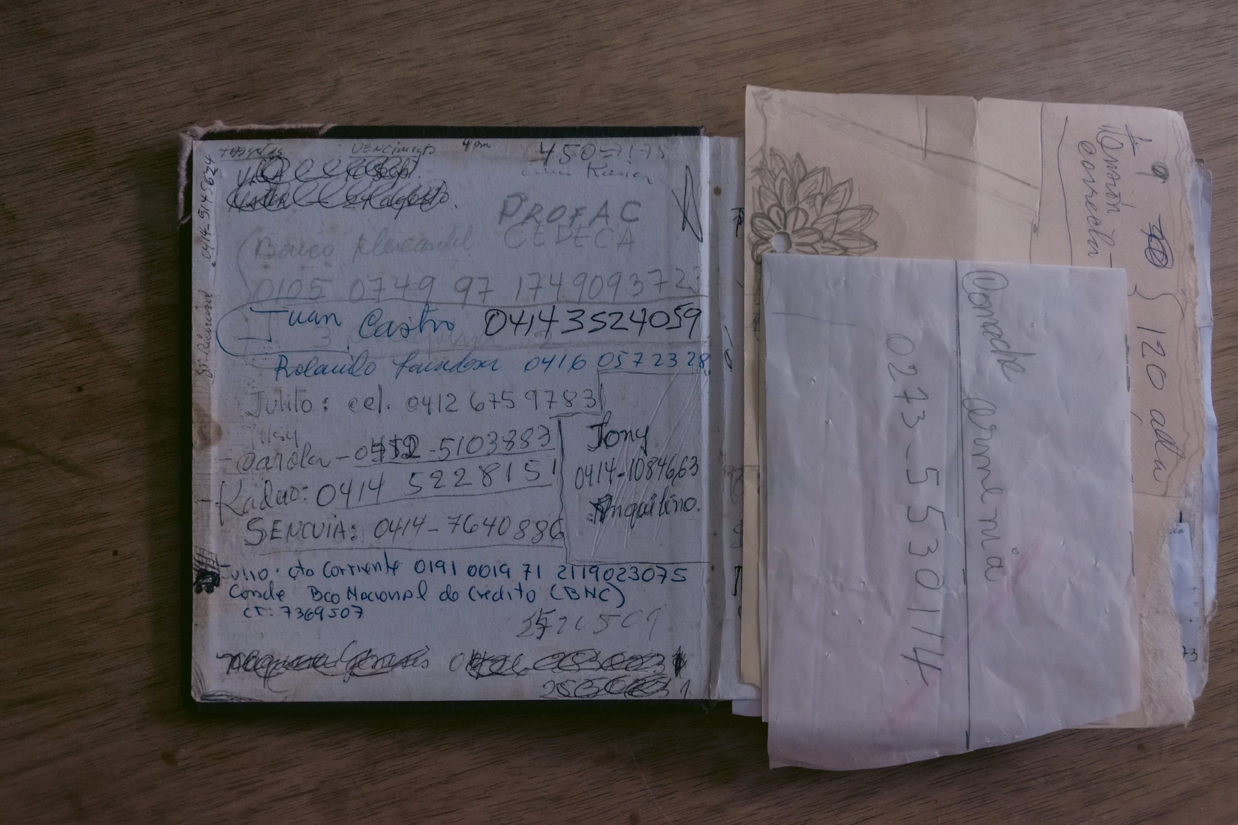 © Dacir conde, 2025