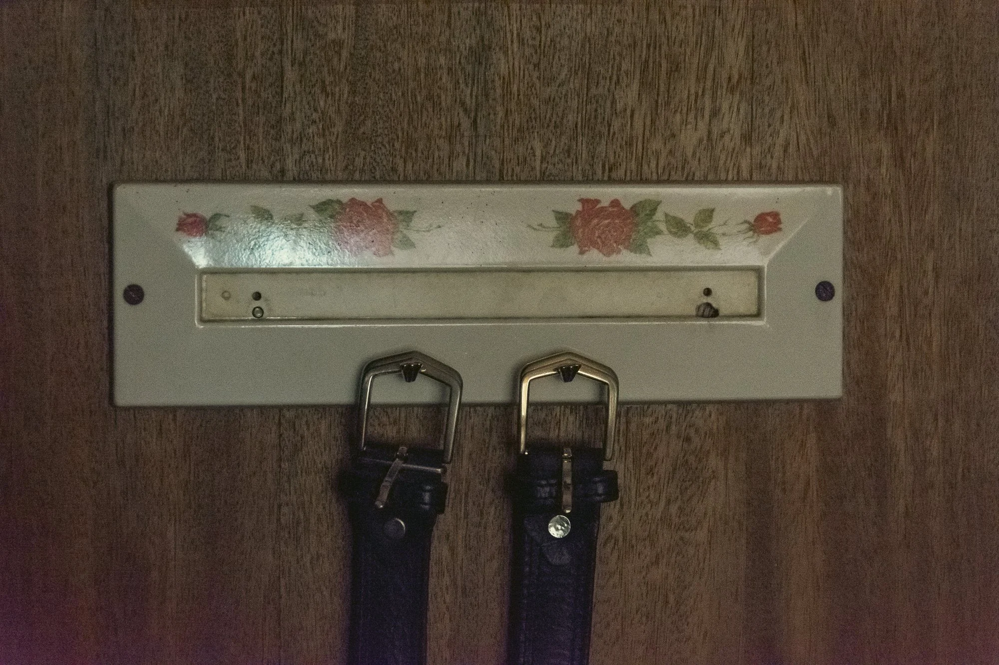 © Dacir conde, 2025