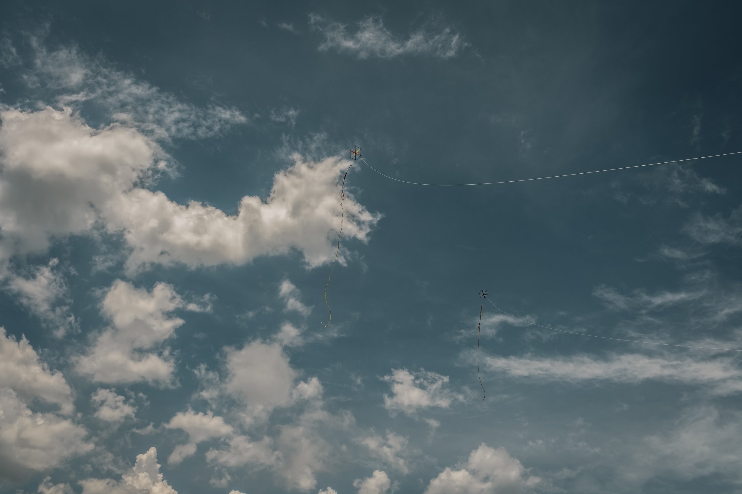 © Daniella del castillo, 2025