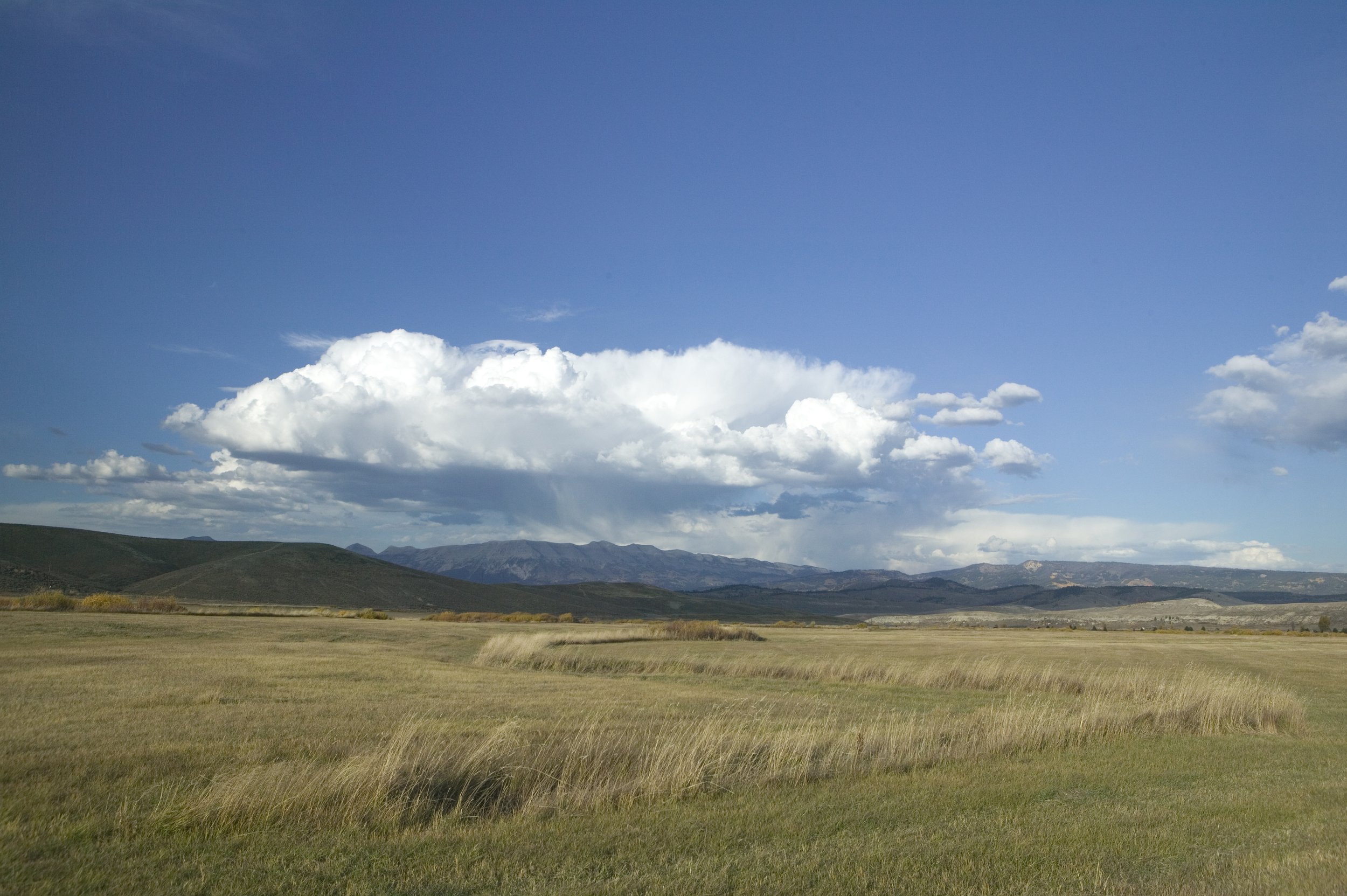 Jackson Fork Ranch 859.jpg