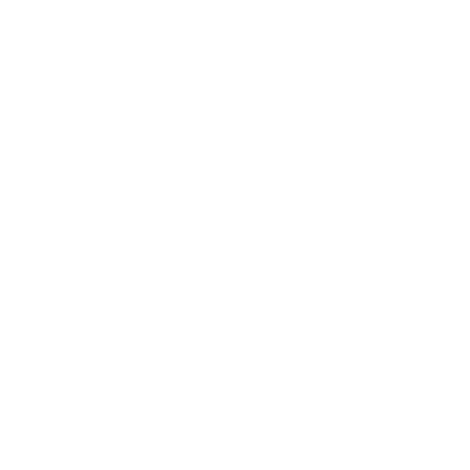 High Plains Bison