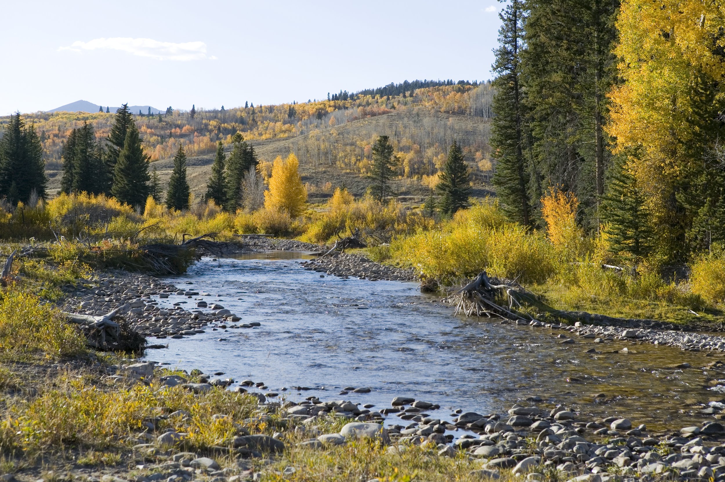 Jackson Fork Ranch 726.jpg