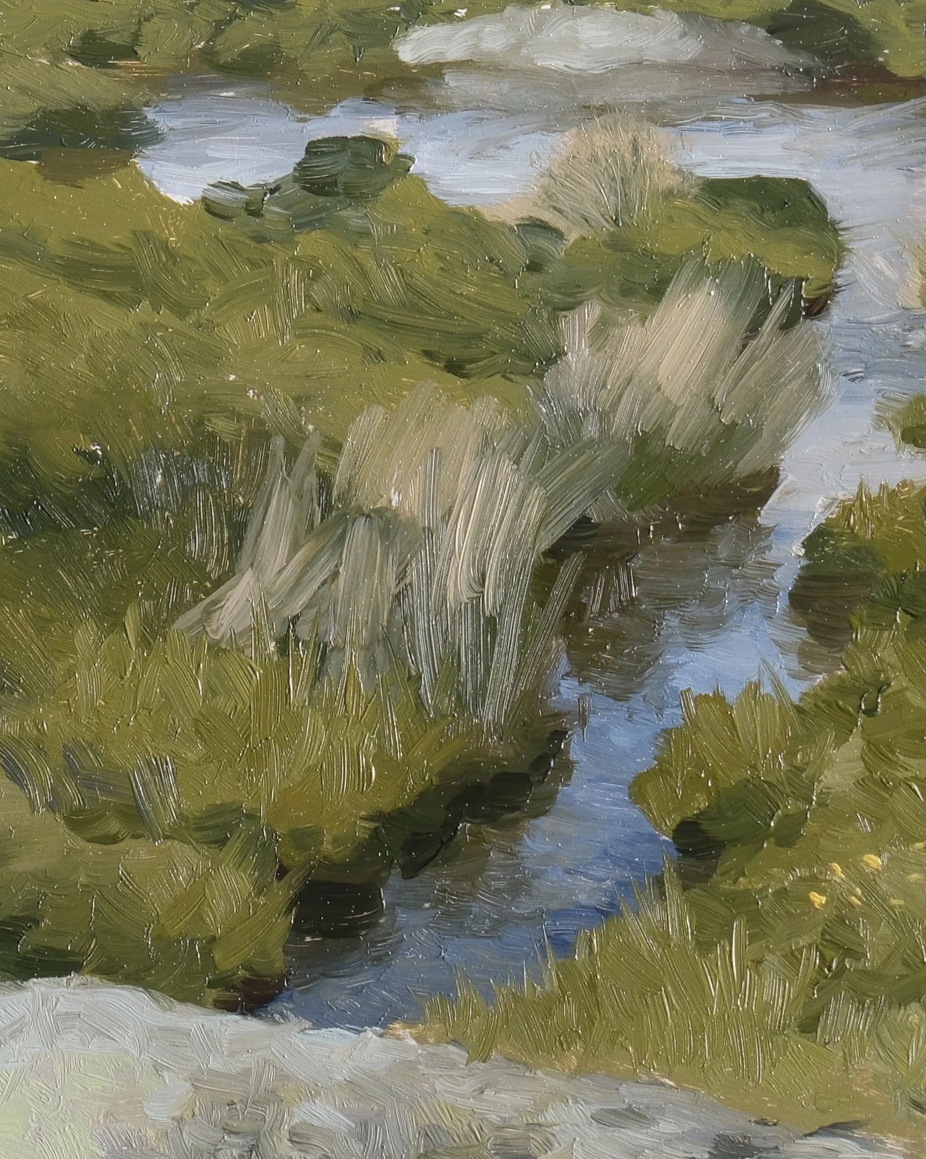 Detail Sedges and Snow.jpg