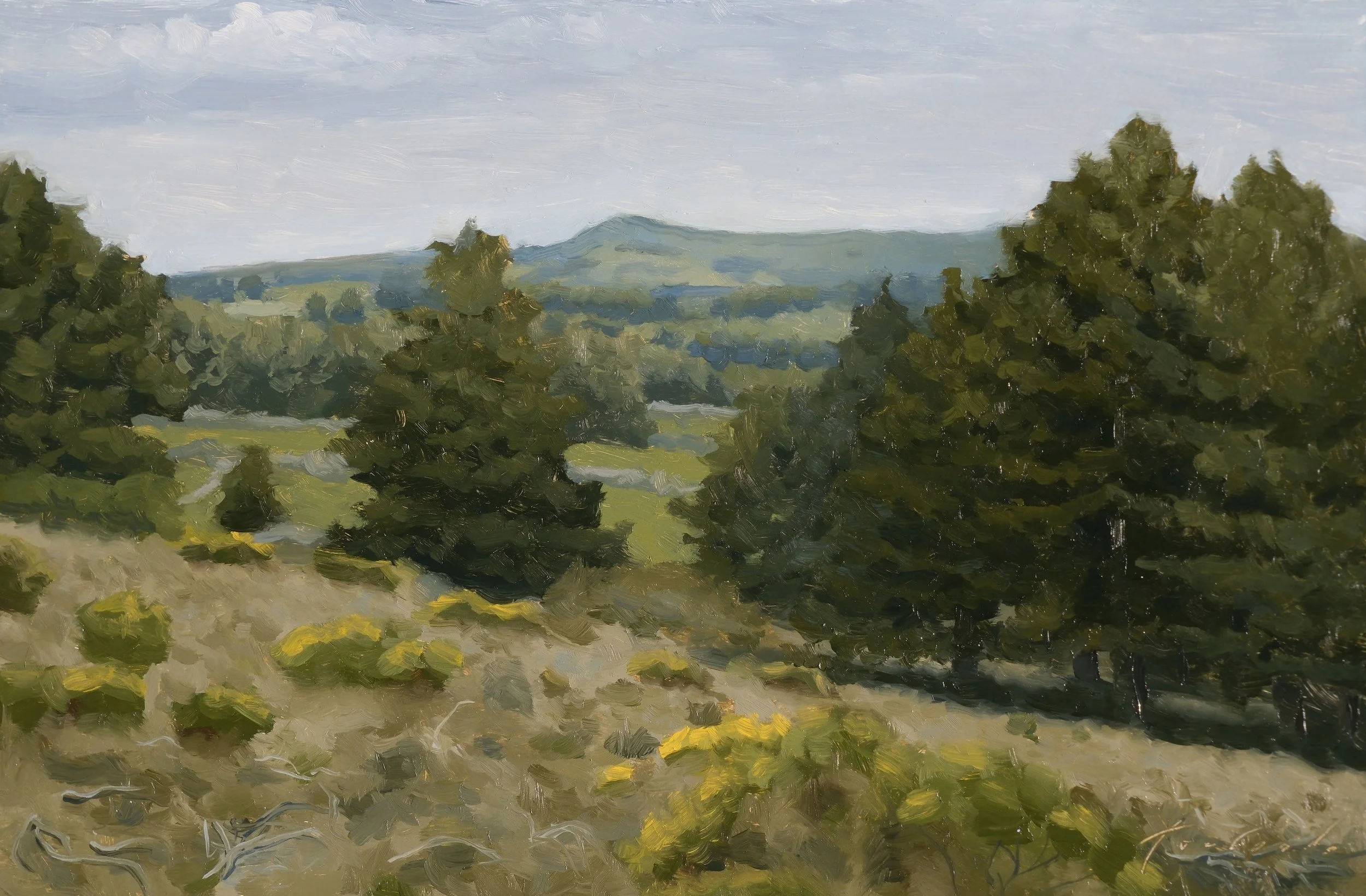 04.24.26 JustBeforeViewingArea.jpg