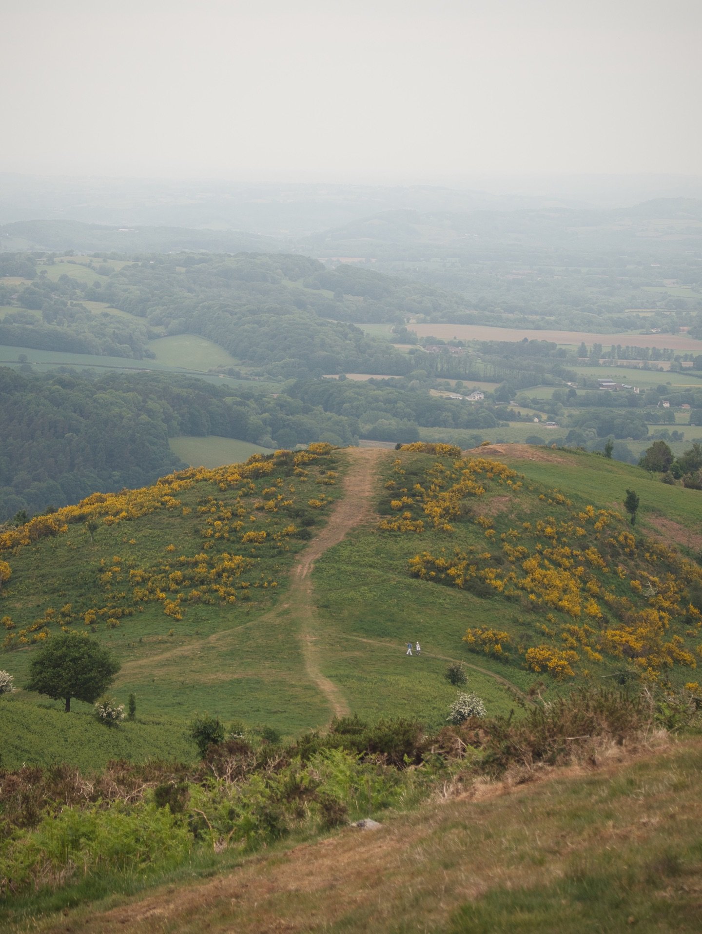 Spring has been pretty good so far despite the 🌧

#spring #hiking #travel #england #malvernhills #olympus #lumix