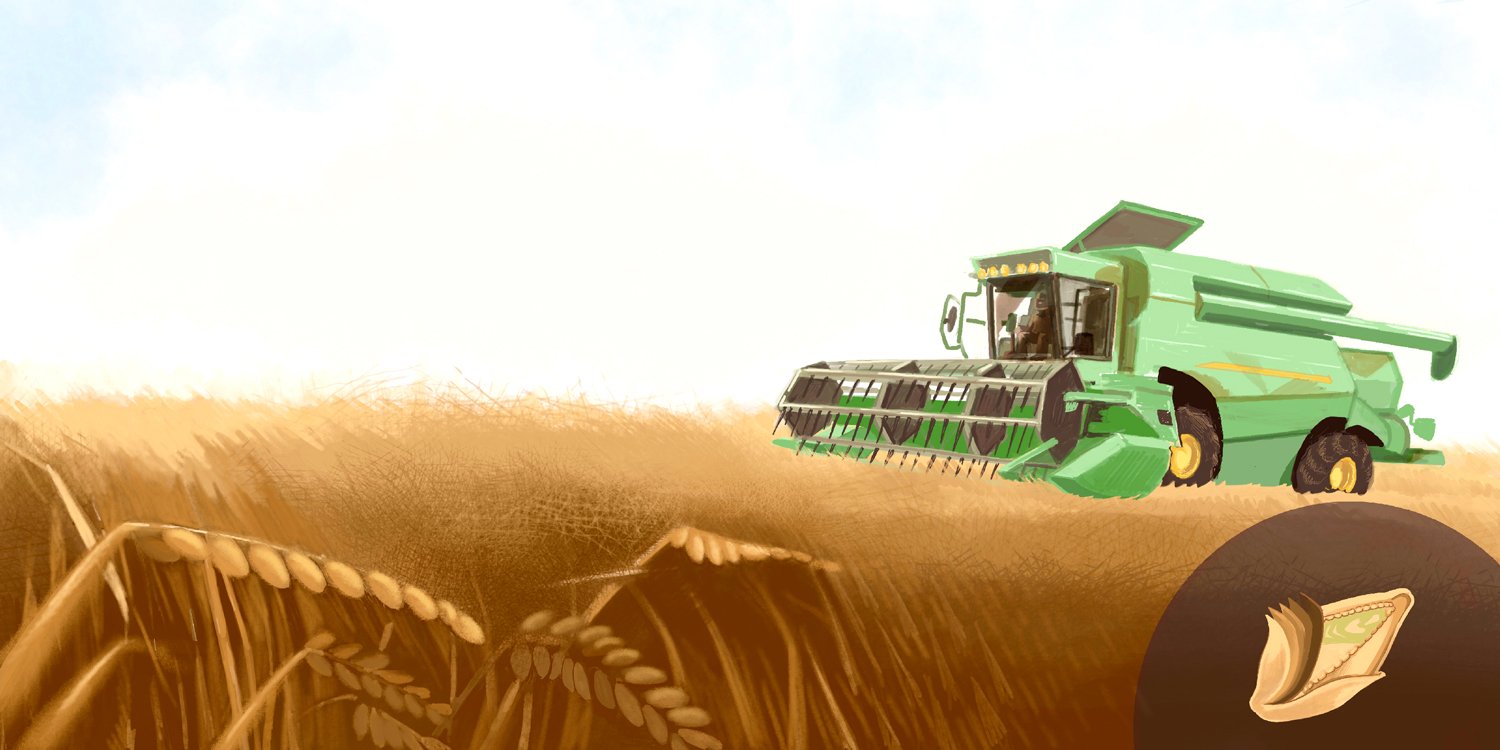 illustration jeunesse, illustration, children's books illustration