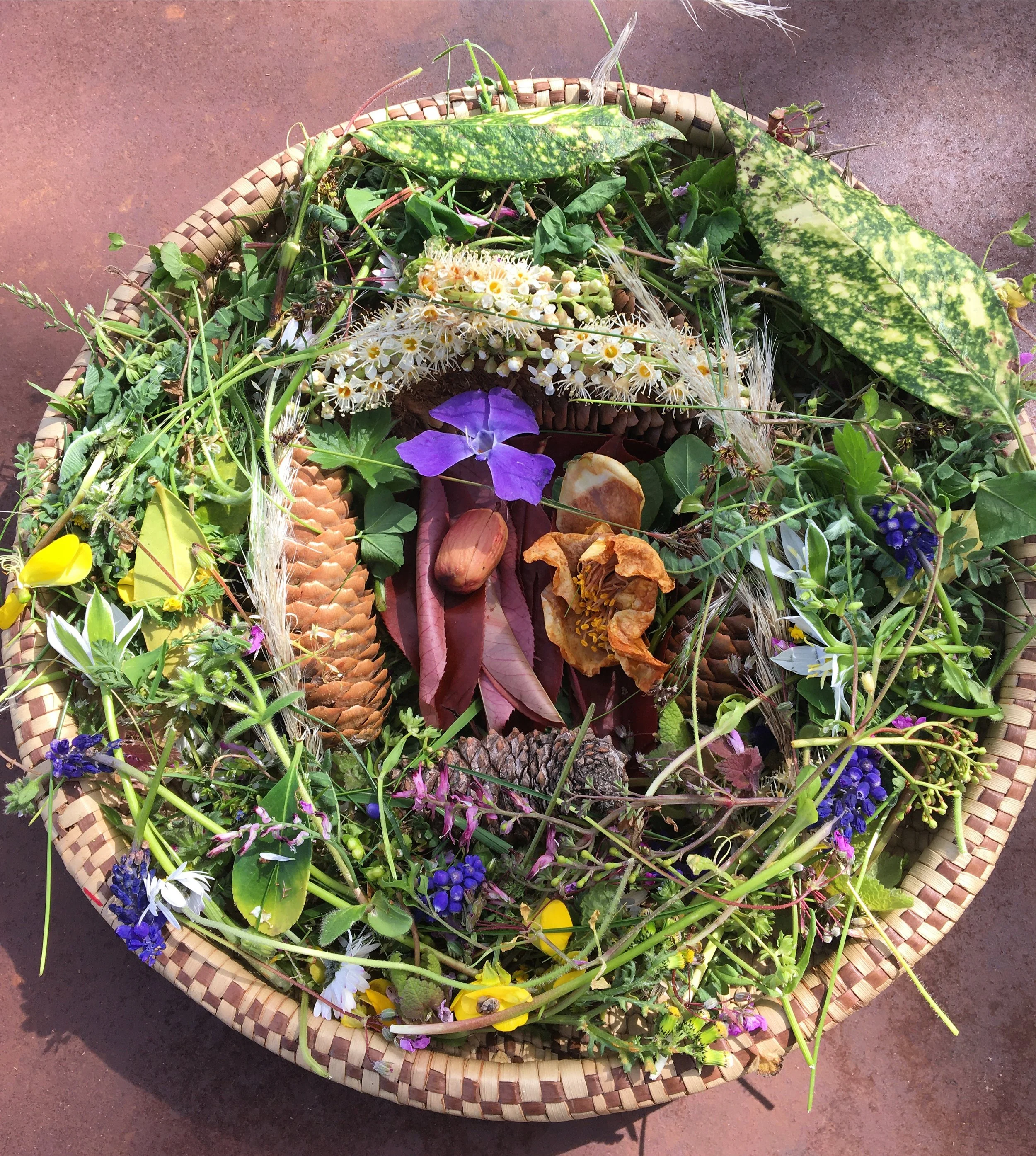 Le printemps revient toujours, et moi avec. 