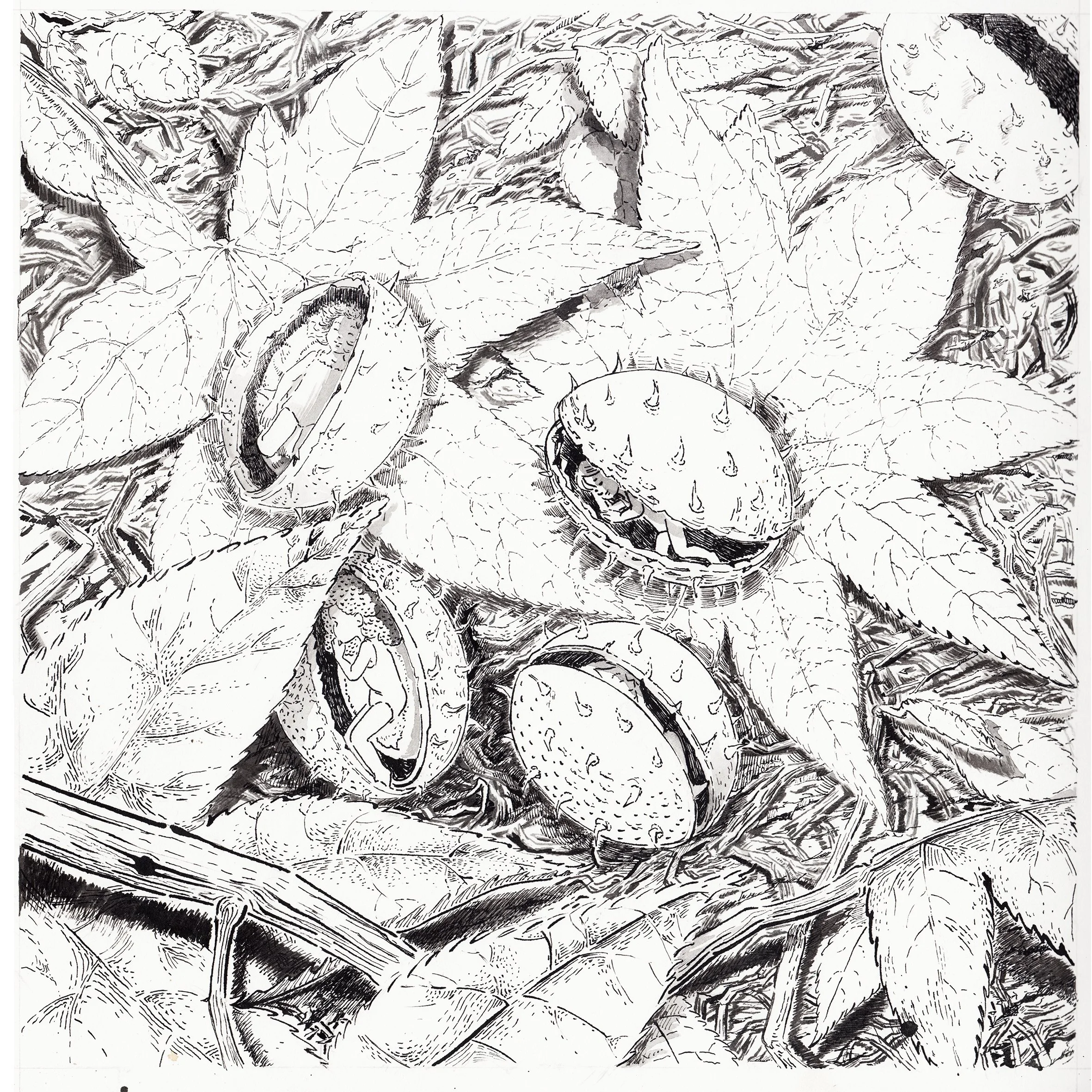 Coloriage automne