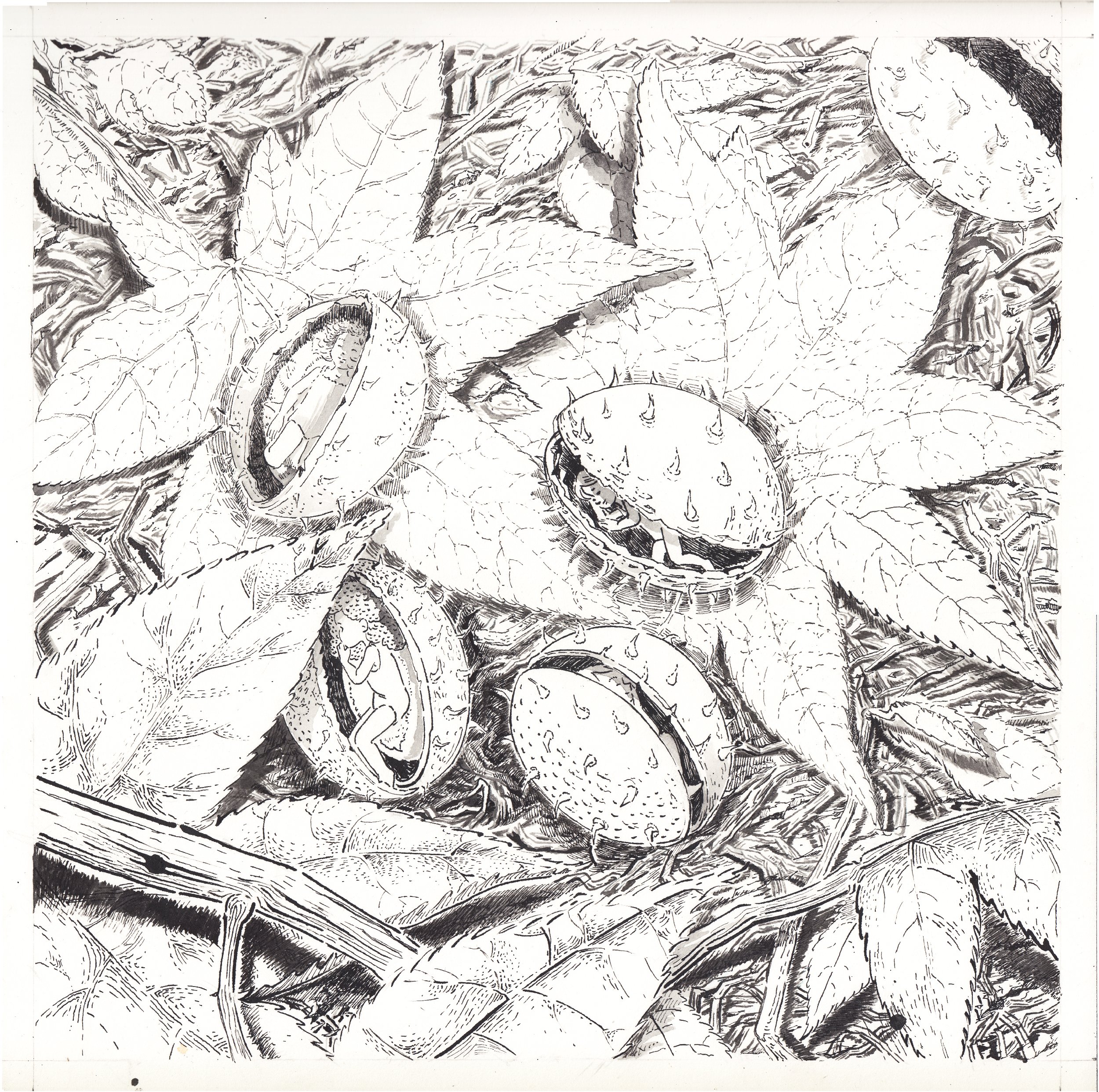 illustration, illustratrice jeunesse, illustration livre, illustration for children's books