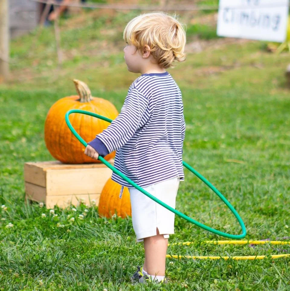 Messick's Farm Market