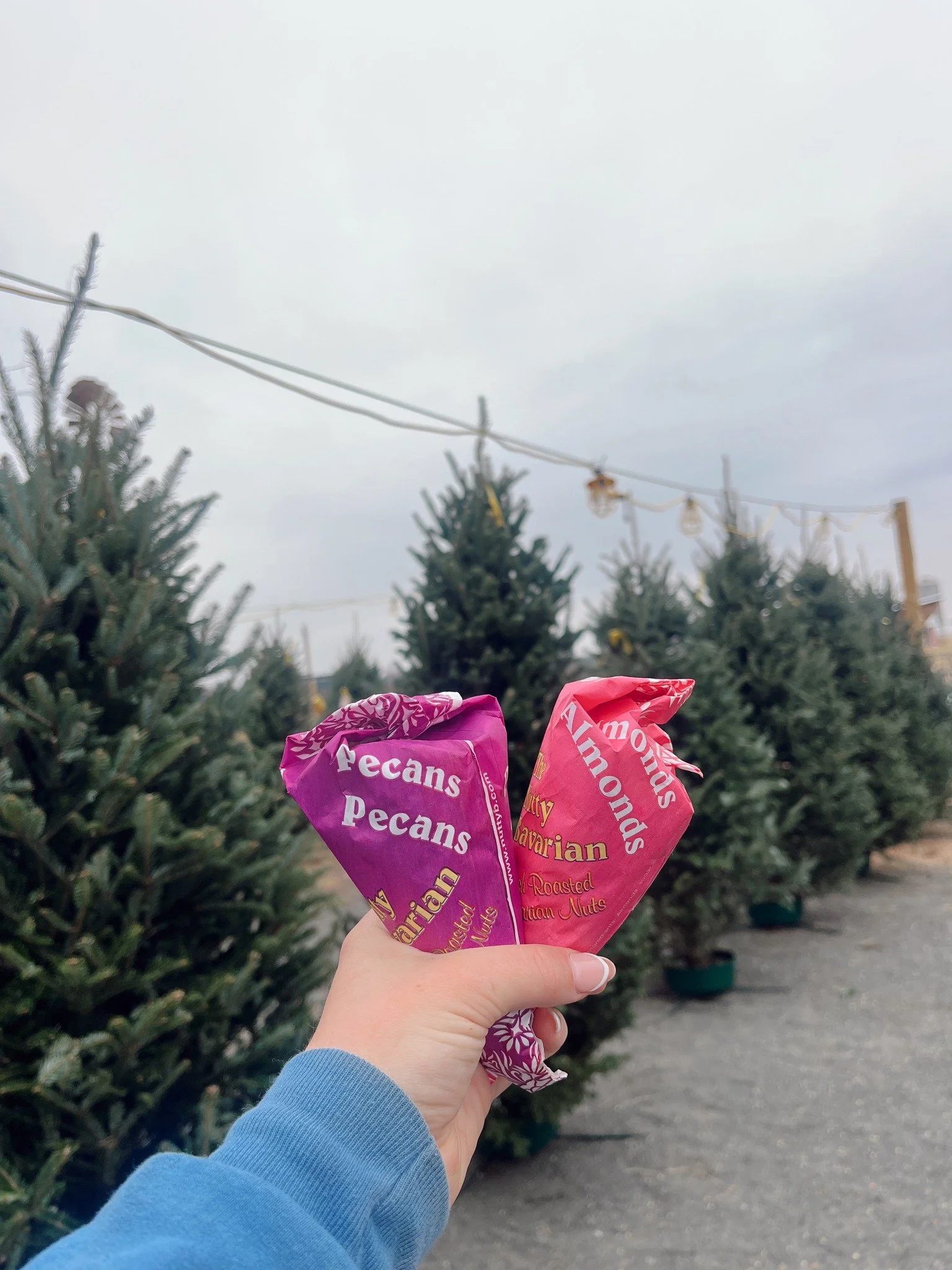 The market smells like the holidays! Enjoy the aroma of fresh-cut trees and The Nutty Bavarian&rsquo;s warm, cinnamon-glazed pecans and almonds.🍯