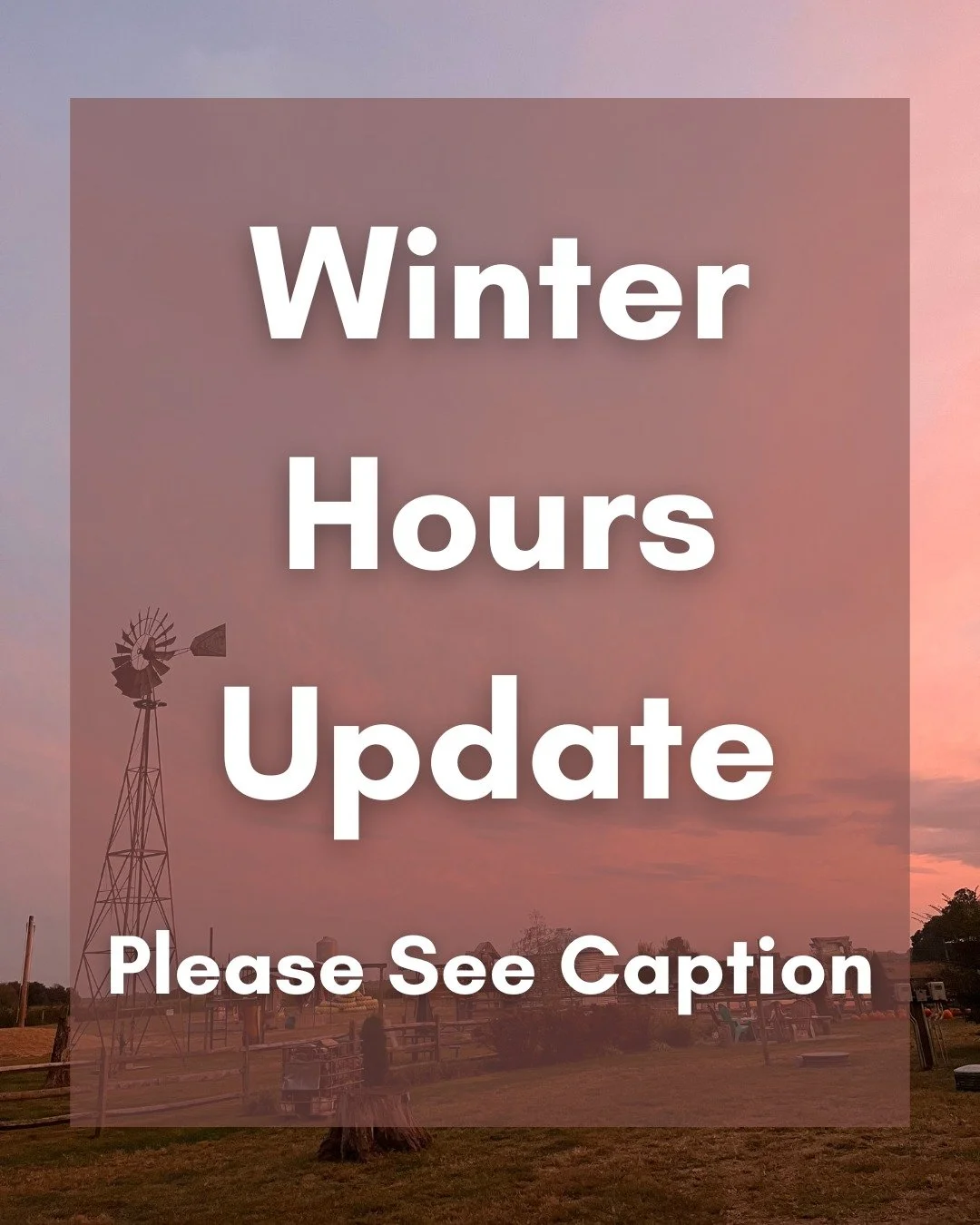 Beginning Monday, January 5th, 2026, the market will be closed every Monday throughout January and February. Regular operation hours will return on Monday March 2nd, 2026. 

We appreciate everyone's support and wish you a Happy New Year! 🎊