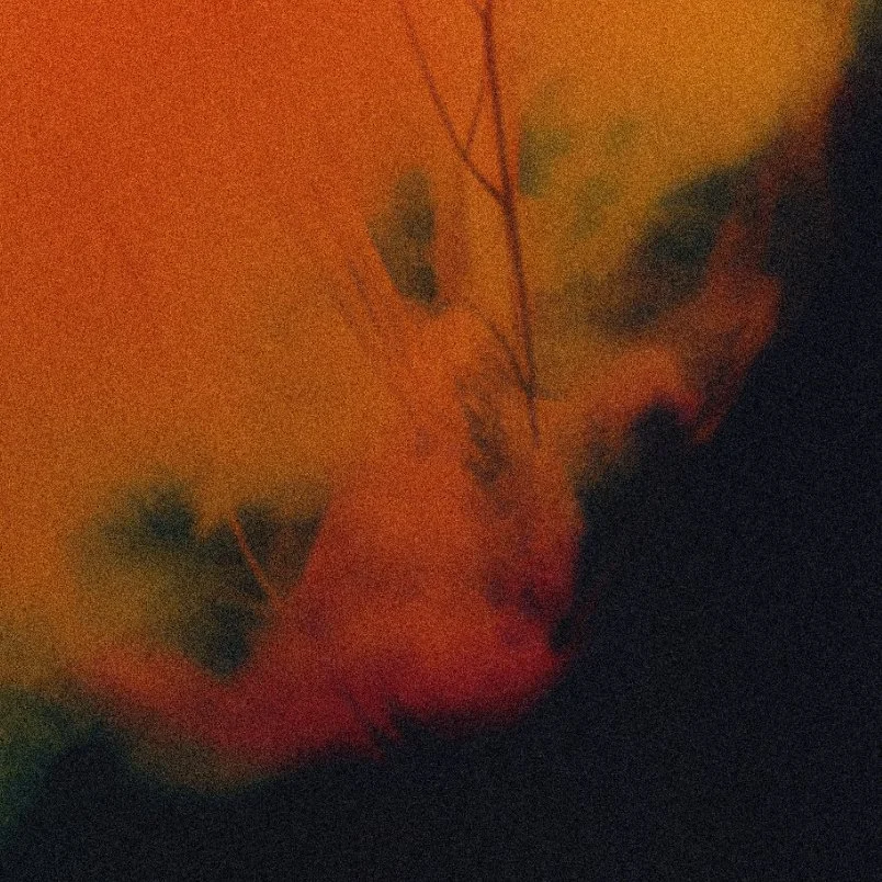 echoes of silence detail 1.jpg