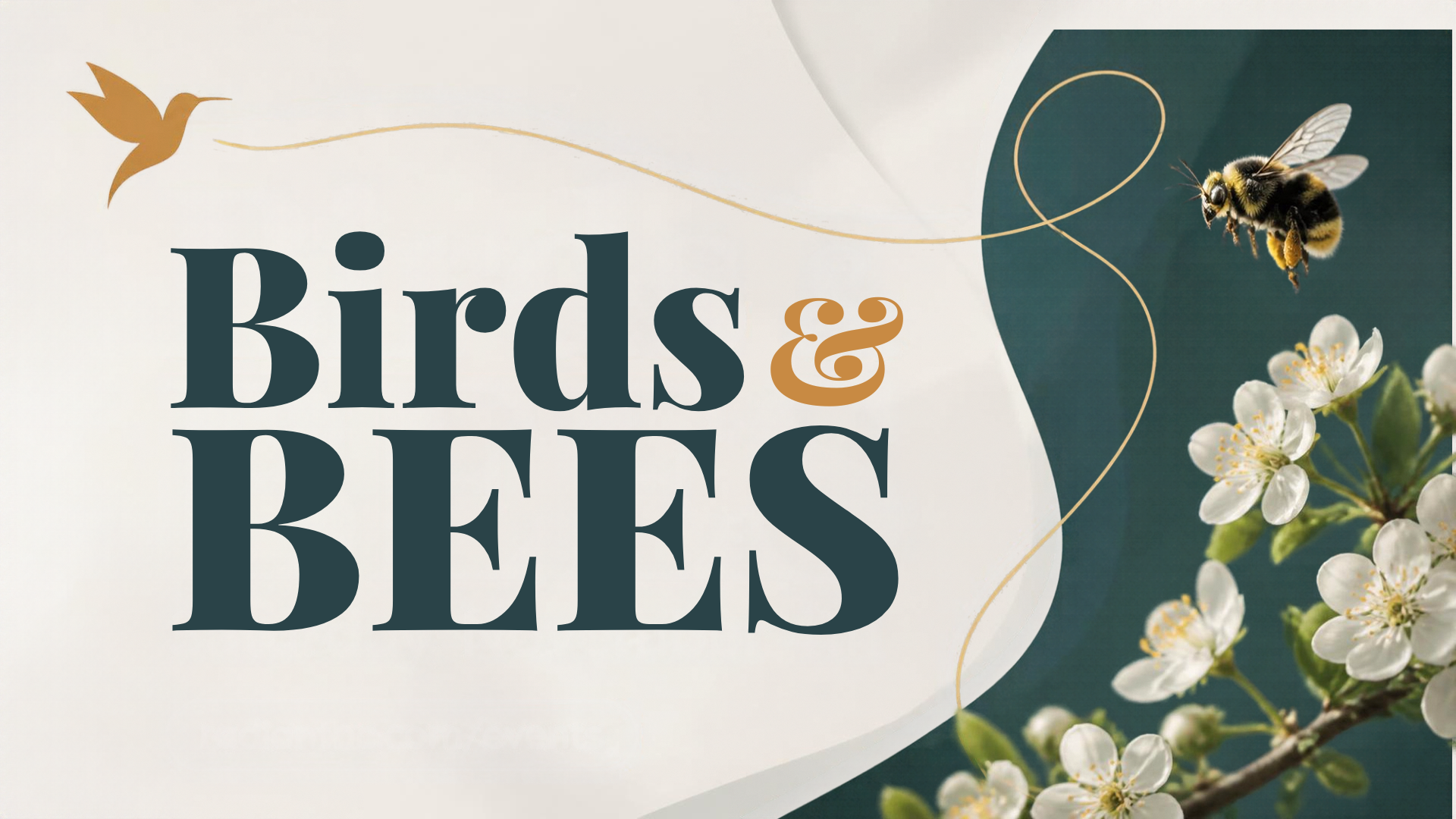 Birds &amp; Bees Class
