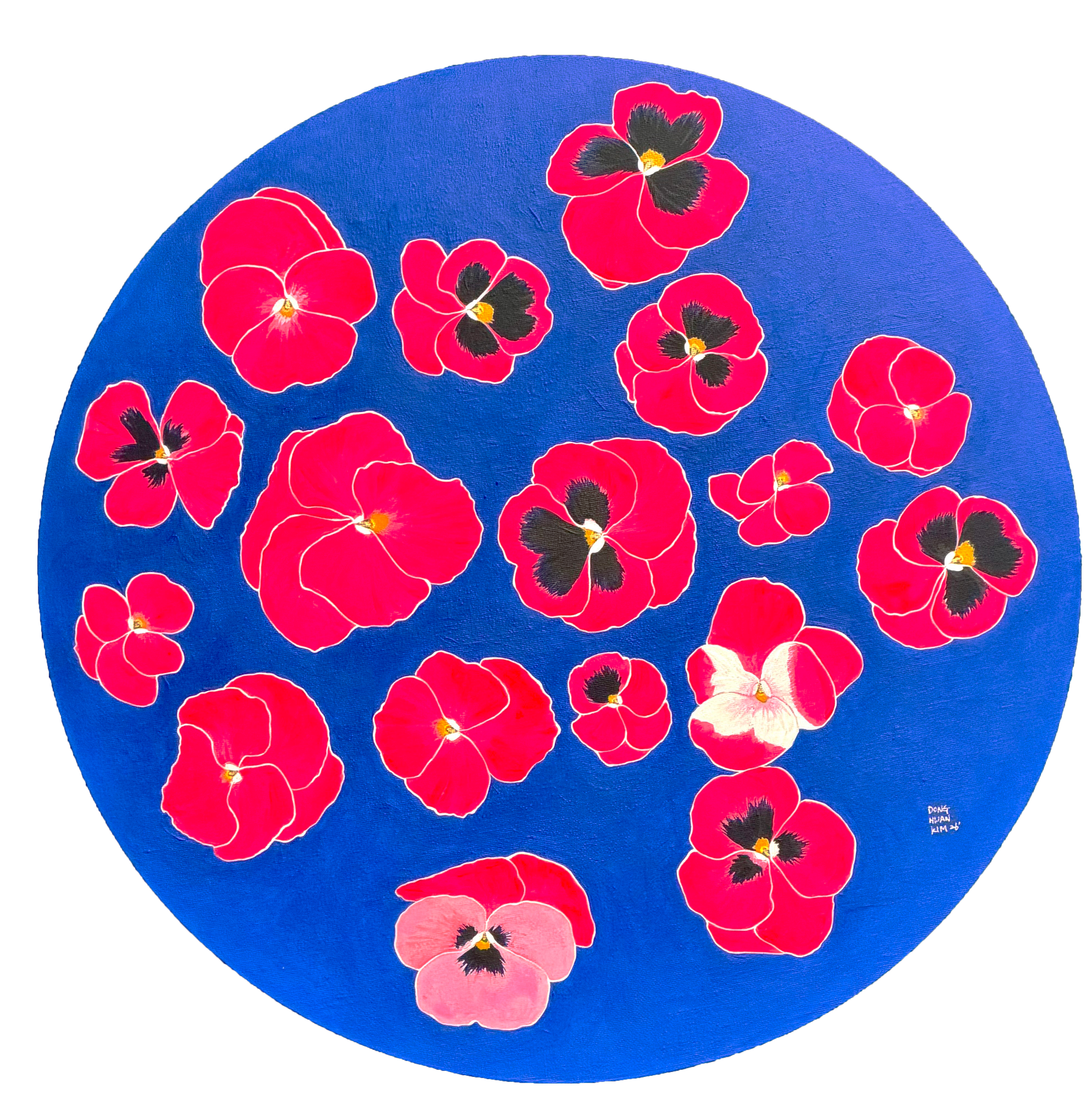 Fuchsia Chorus