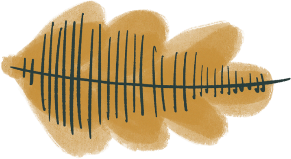 Illustration of a leaf with a prominent central vein and smaller veins branching out.