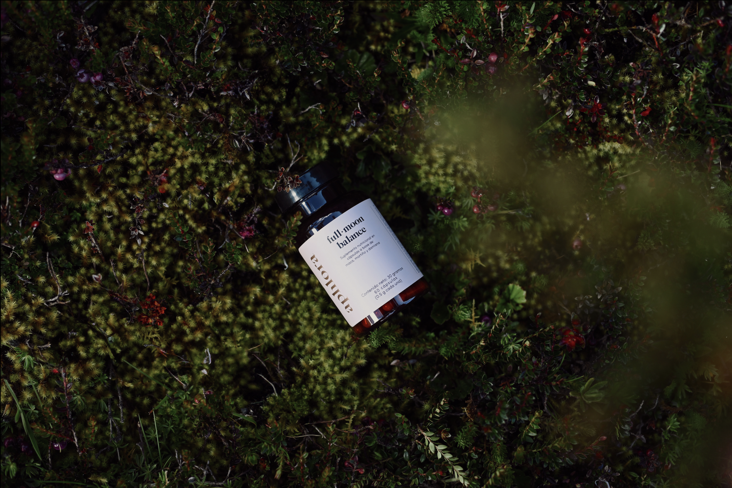 Screenshot 2025-12-08 at 4.39.29 PM.png