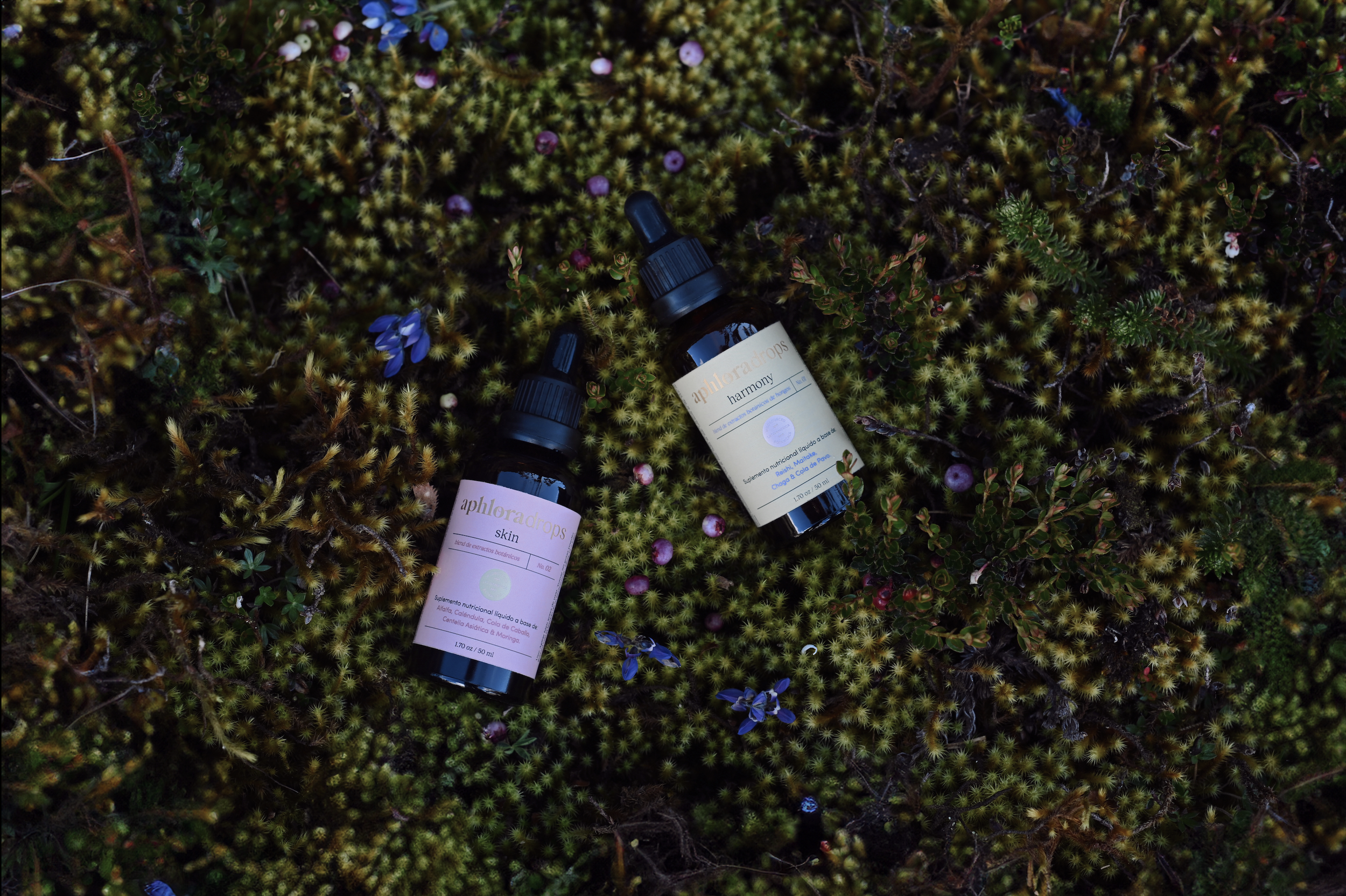 Screenshot 2025-12-08 at 4.40.01 PM.png