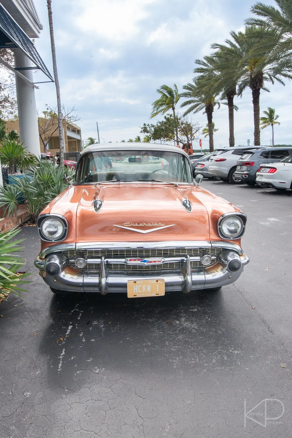 Bryan_240323-097_38525-KPorterPhoto.jpg