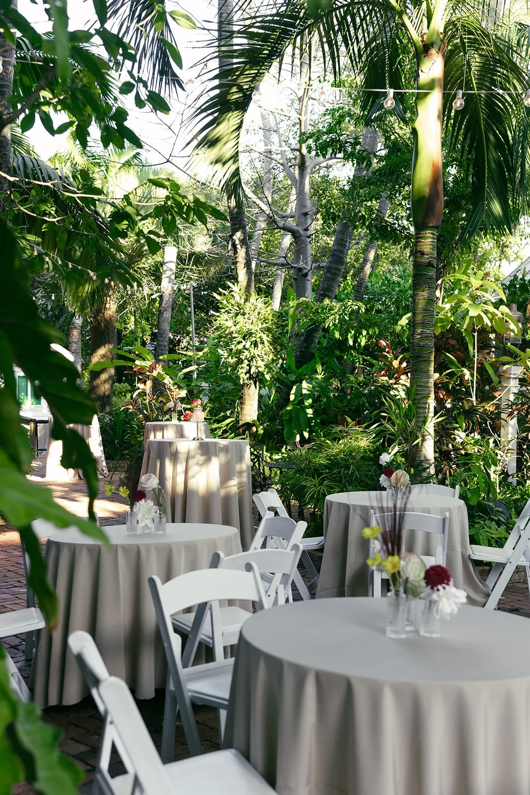 C47A4463.jpg