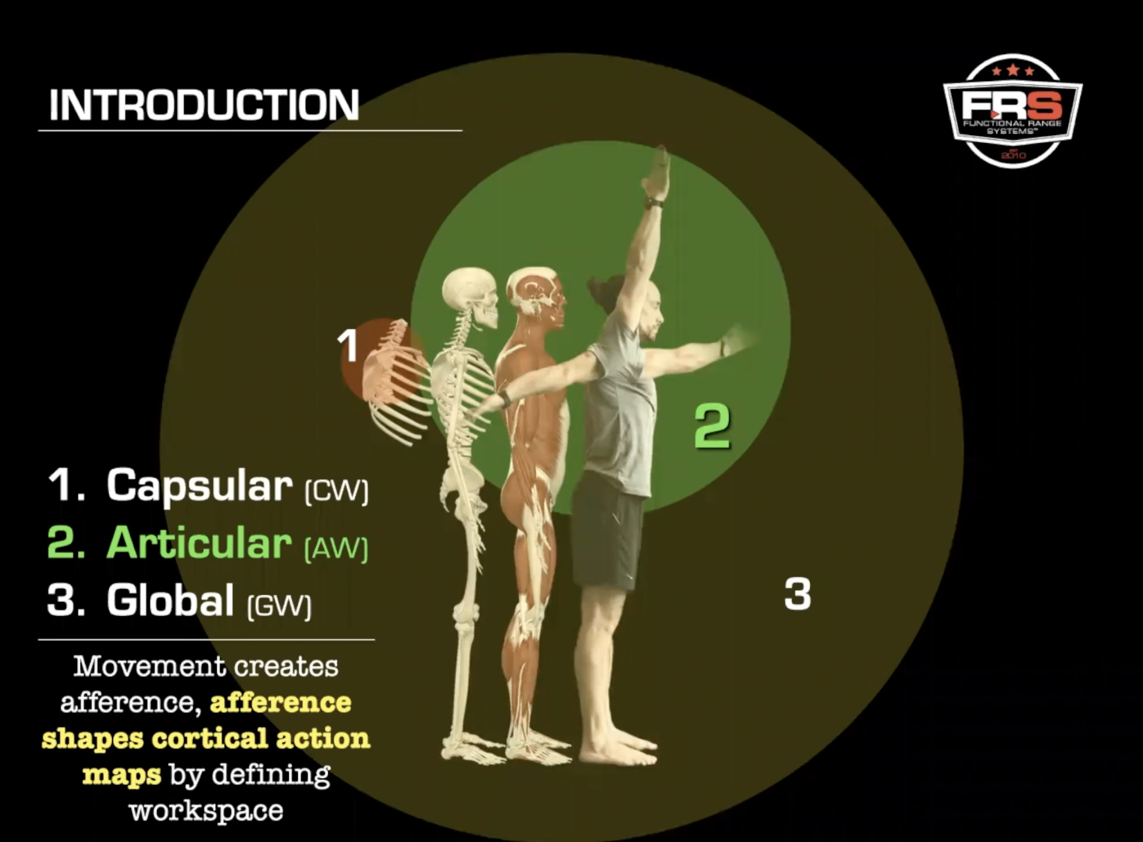 Joint Health and Mobility: The Power of Controlled Articular Rotations ...