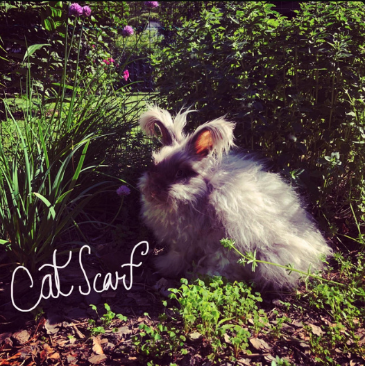 Cat Scarf - "Bunny"
Recording/Drumming